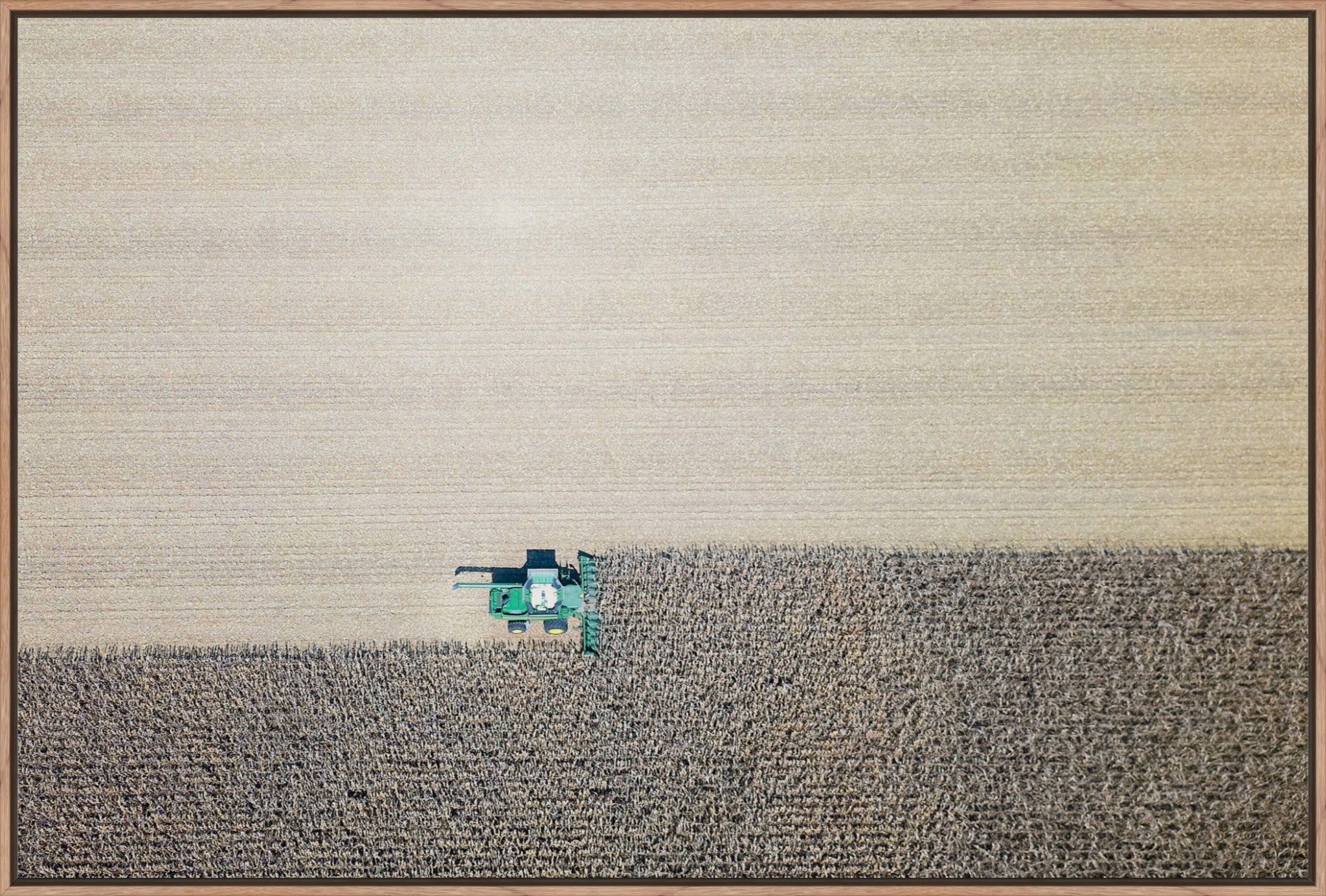 Corn Harvest: Geometric Patterns II