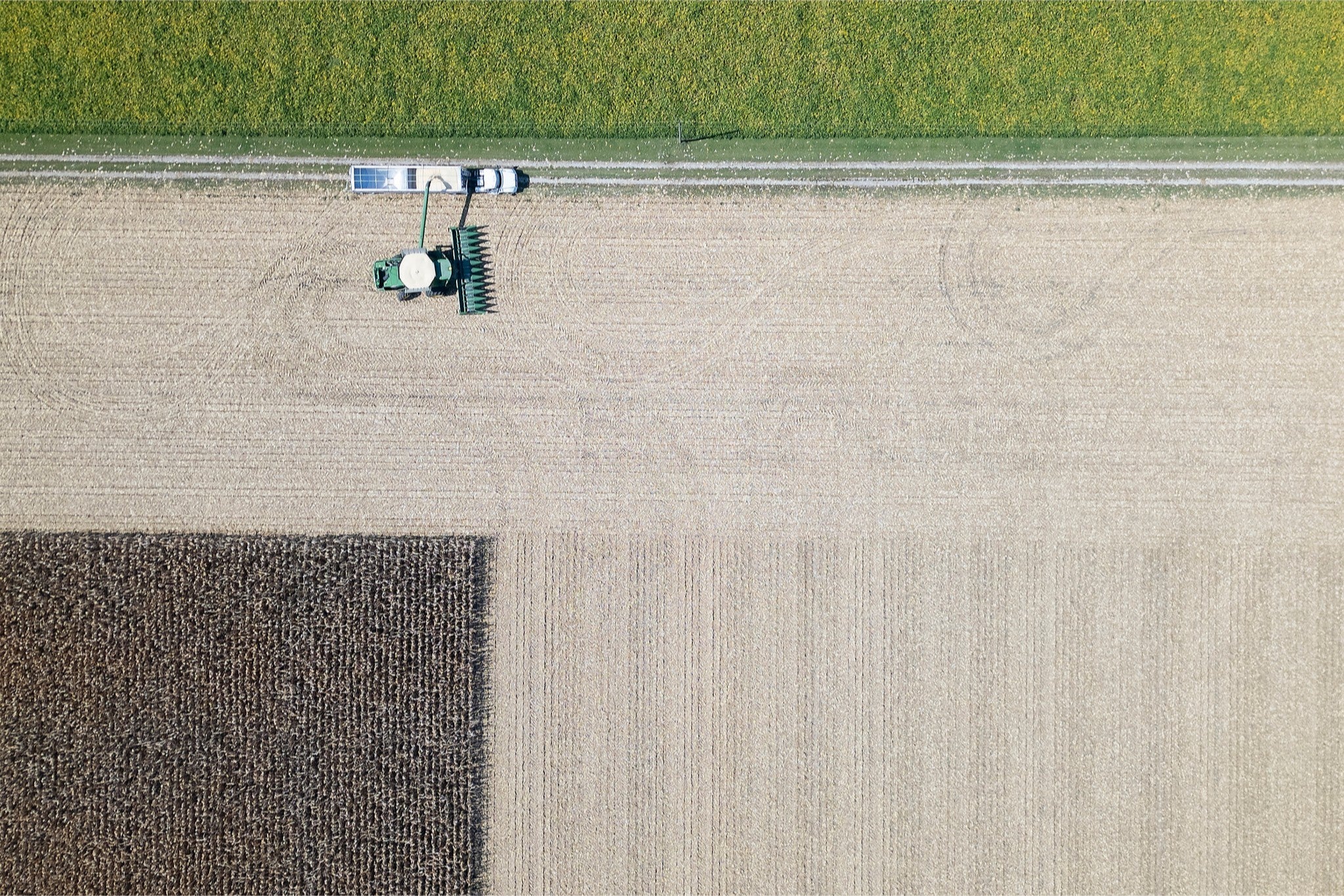 Corn Harvest: Geometric Patterns III