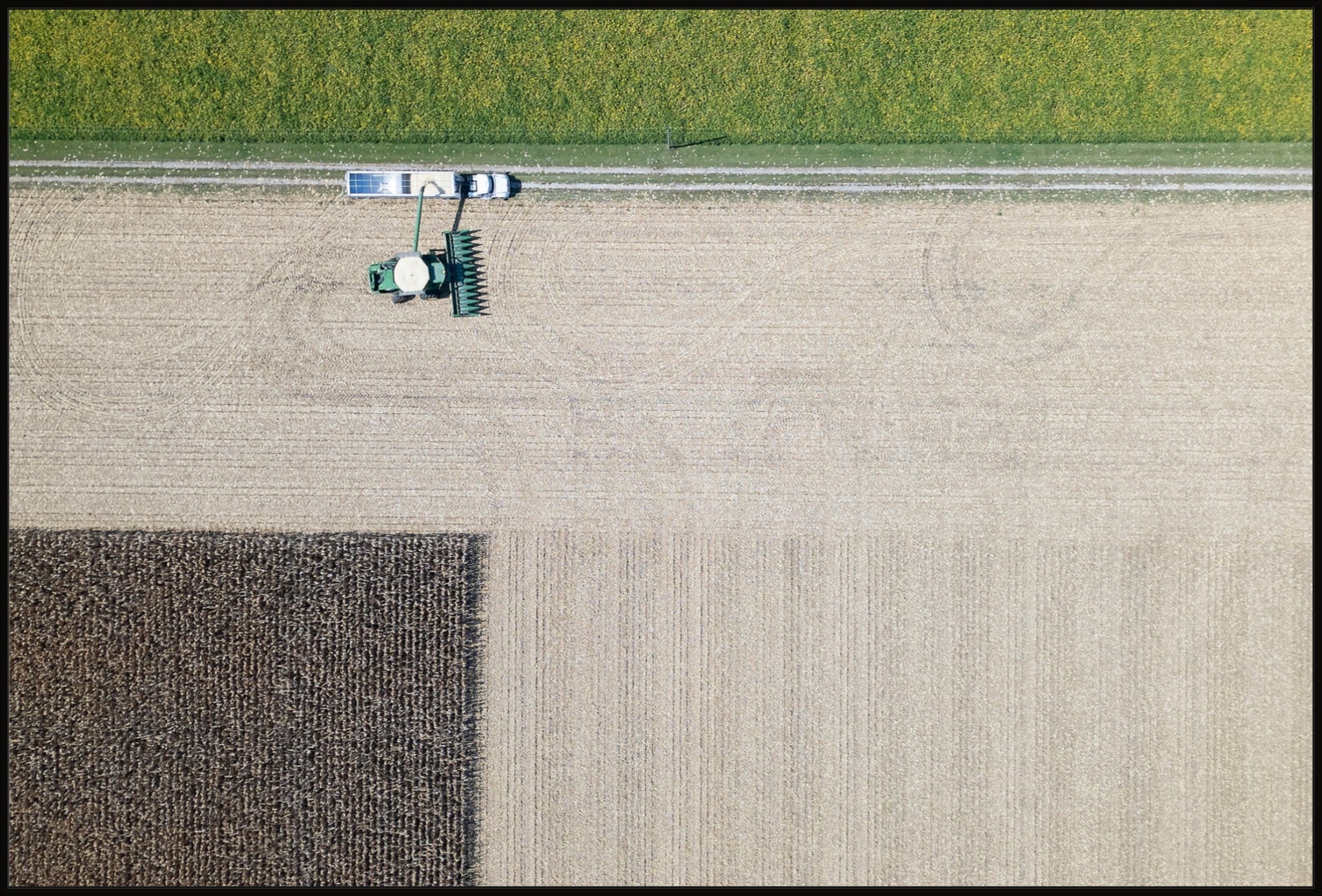 Corn Harvest: Geometric Patterns III