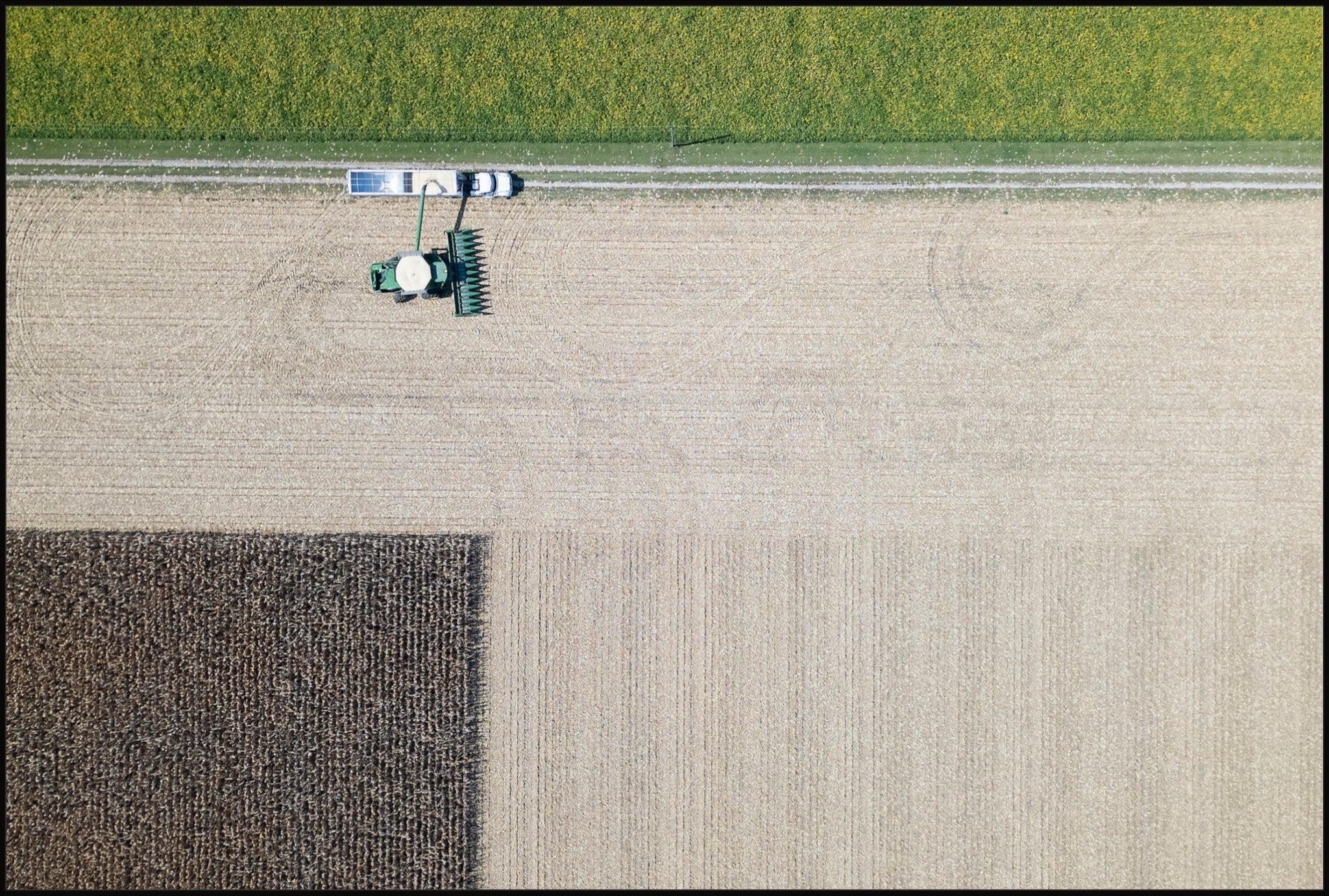 Corn Harvest: Geometric Patterns III
