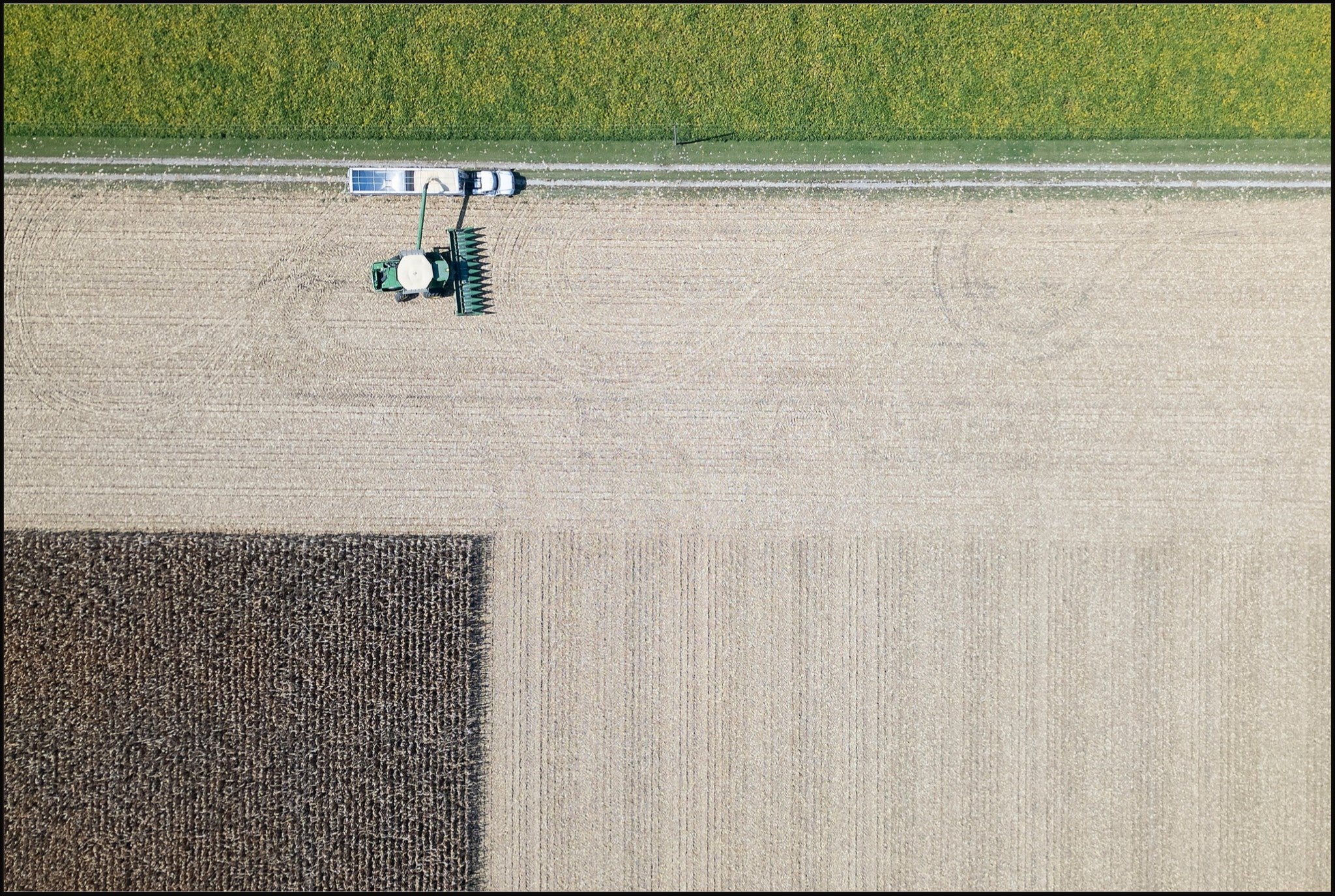 Corn Harvest: Geometric Patterns III