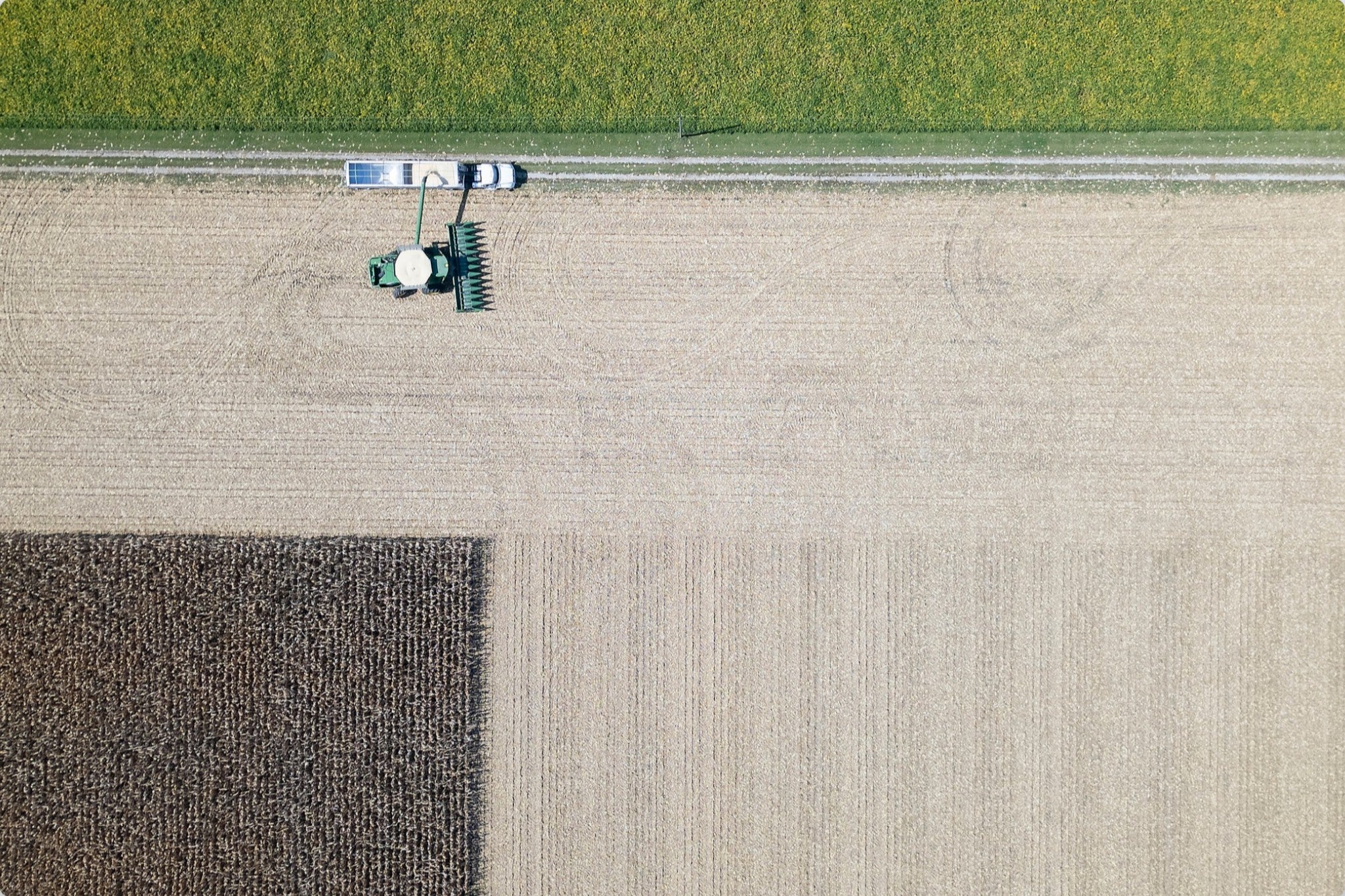 Corn Harvest: Geometric Patterns III