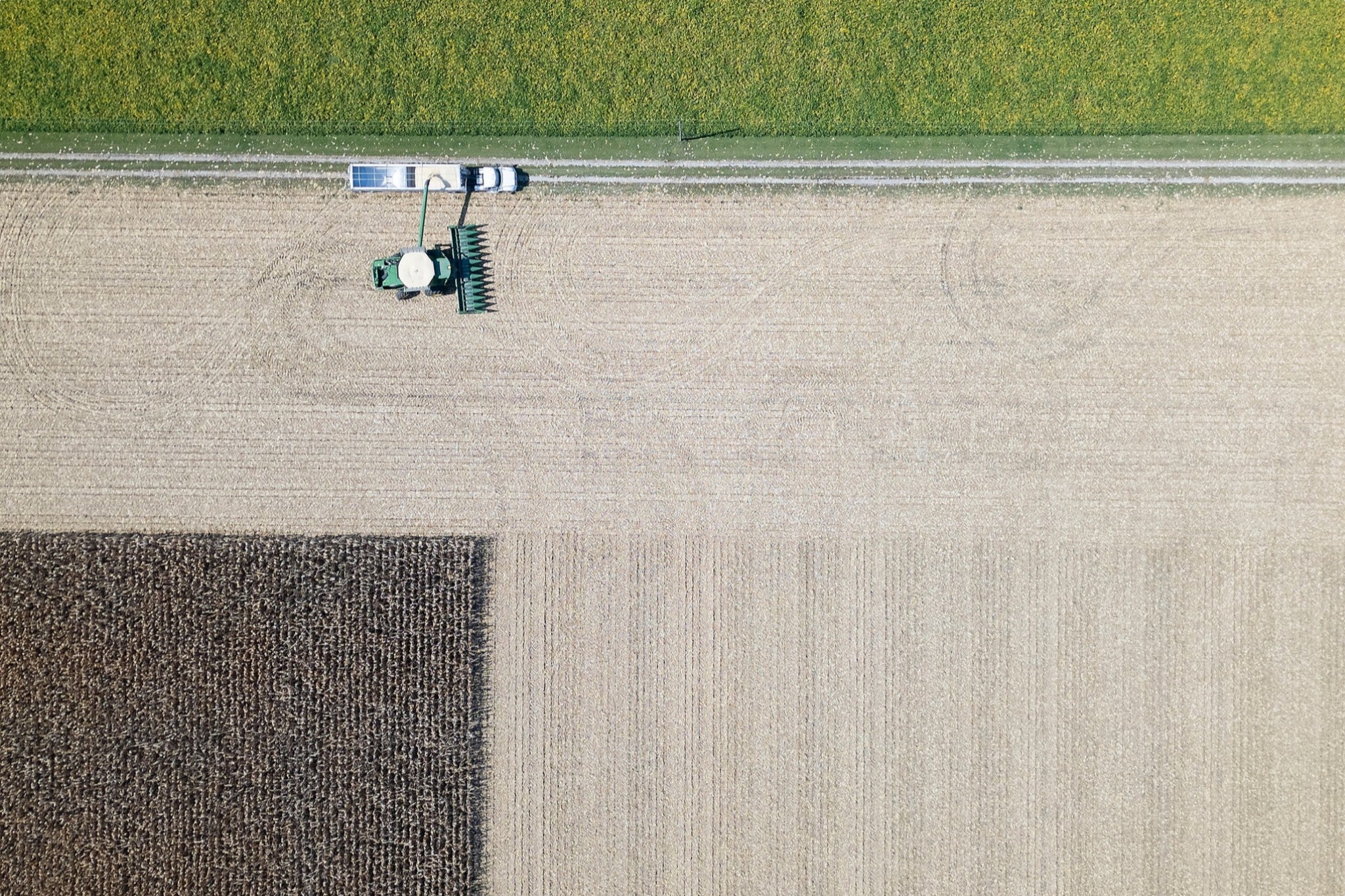 Corn Harvest: Geometric Patterns III