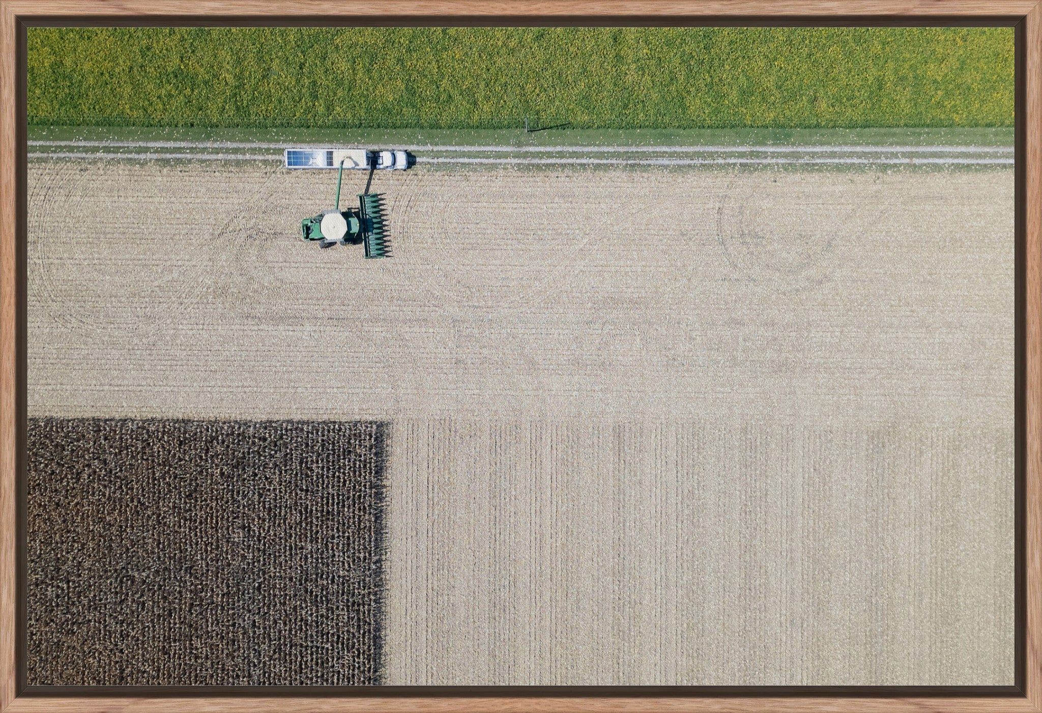 Corn Harvest: Geometric Patterns III