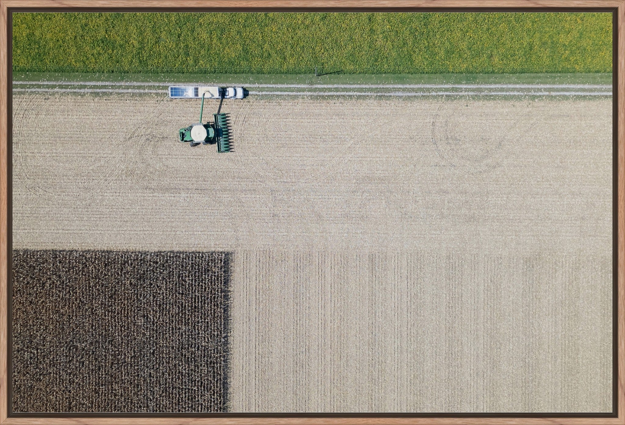 Corn Harvest: Geometric Patterns III