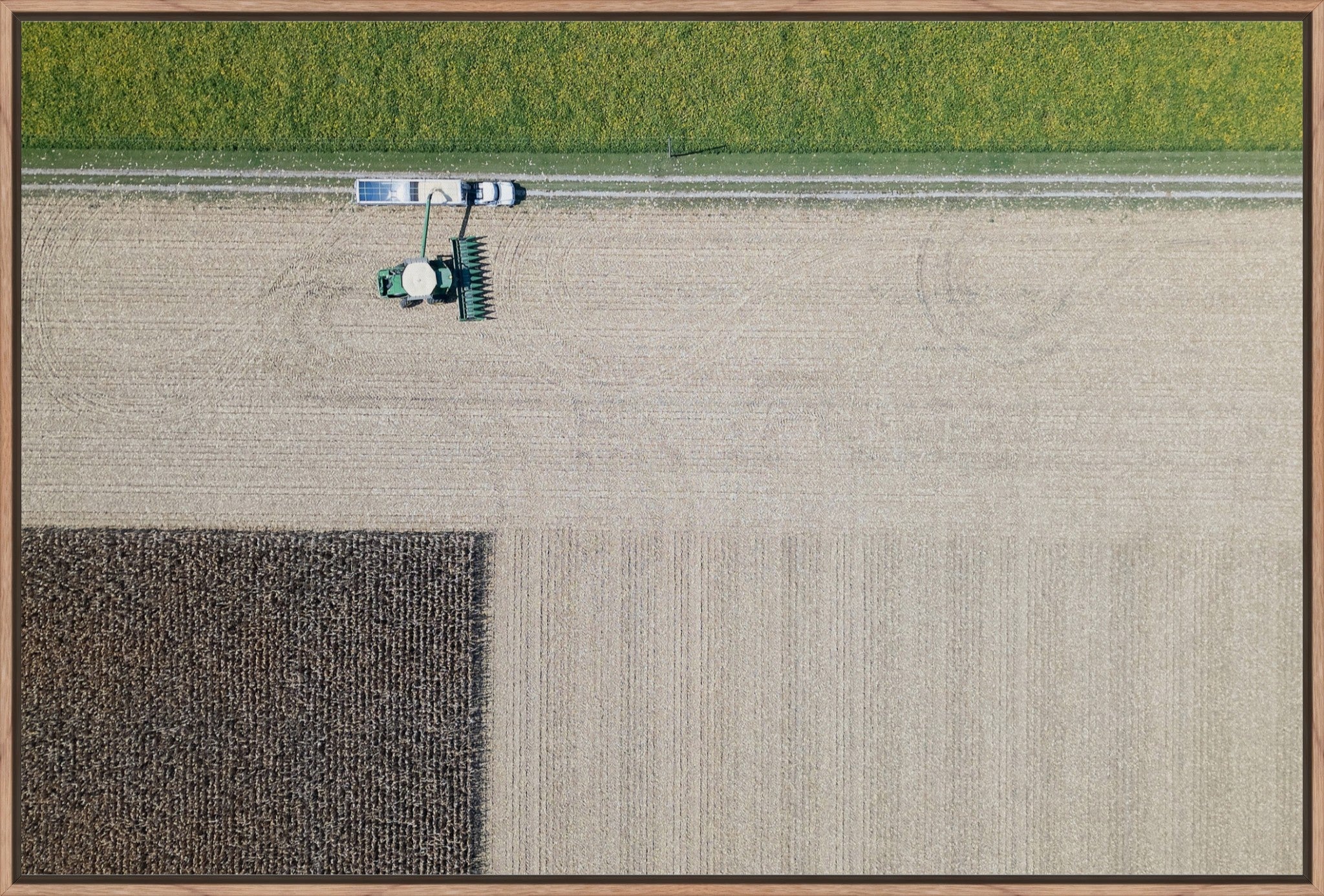 Corn Harvest: Geometric Patterns III