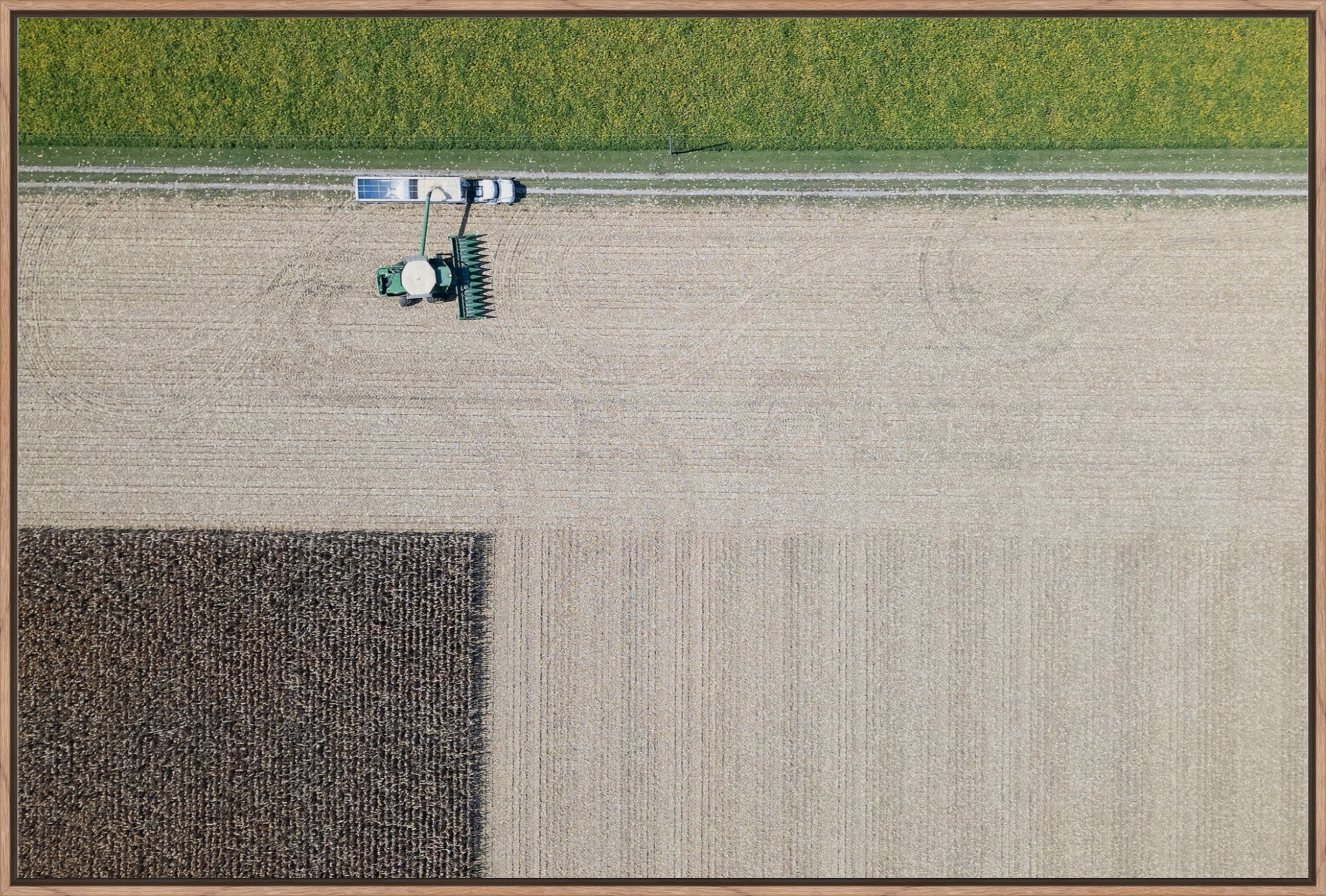 Corn Harvest: Geometric Patterns III
