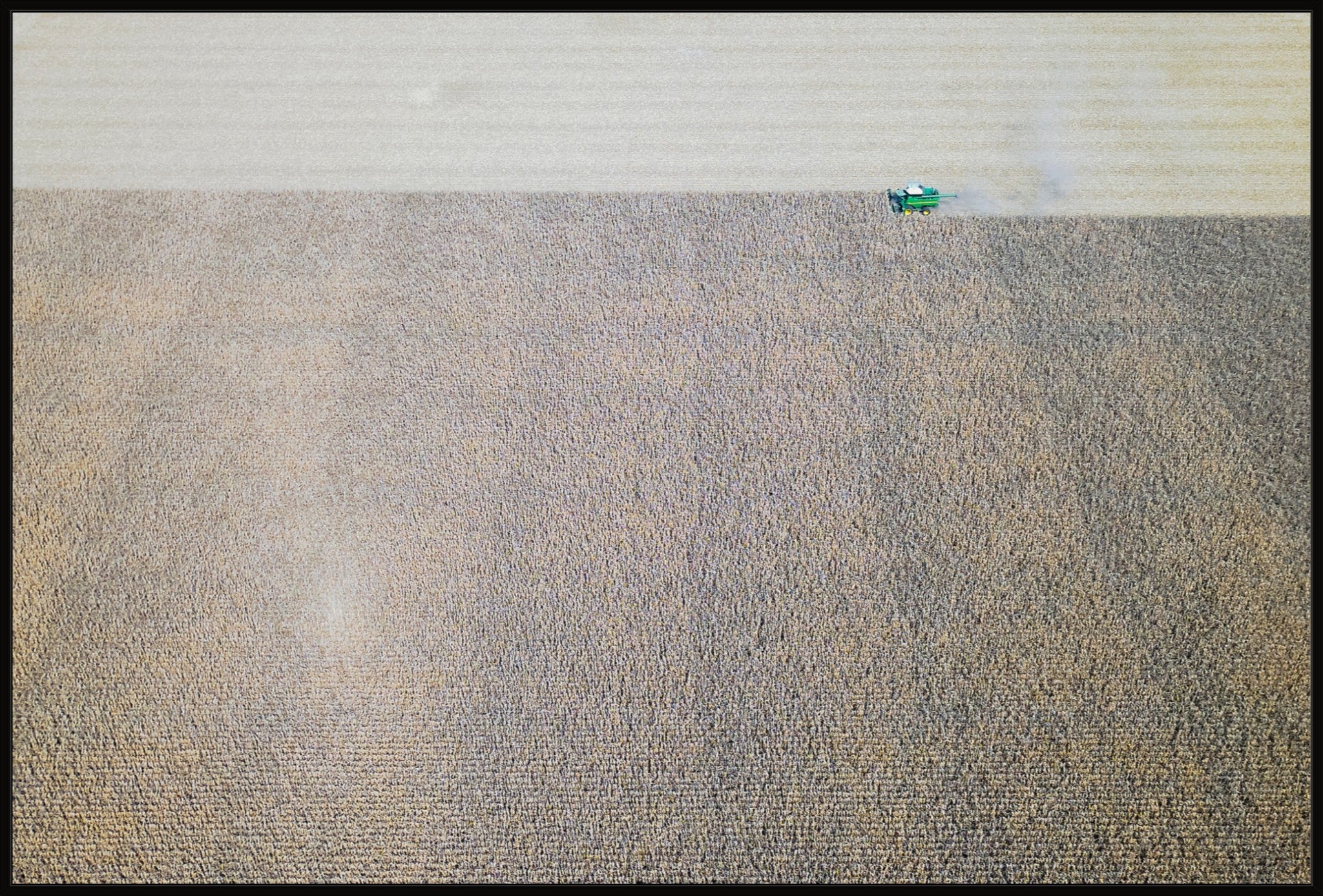 Corn Harvest: Geometric Patterns IV
