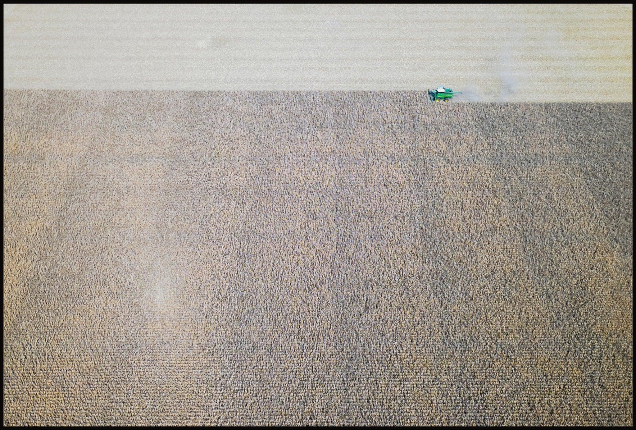 Corn Harvest: Geometric Patterns IV