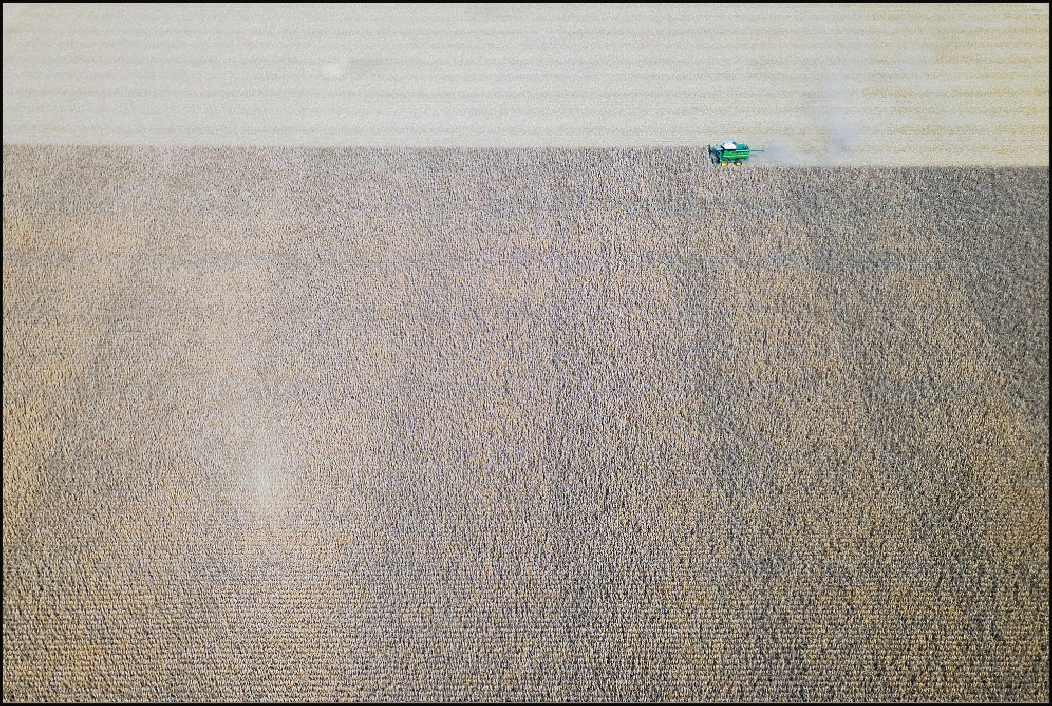 Corn Harvest: Geometric Patterns IV