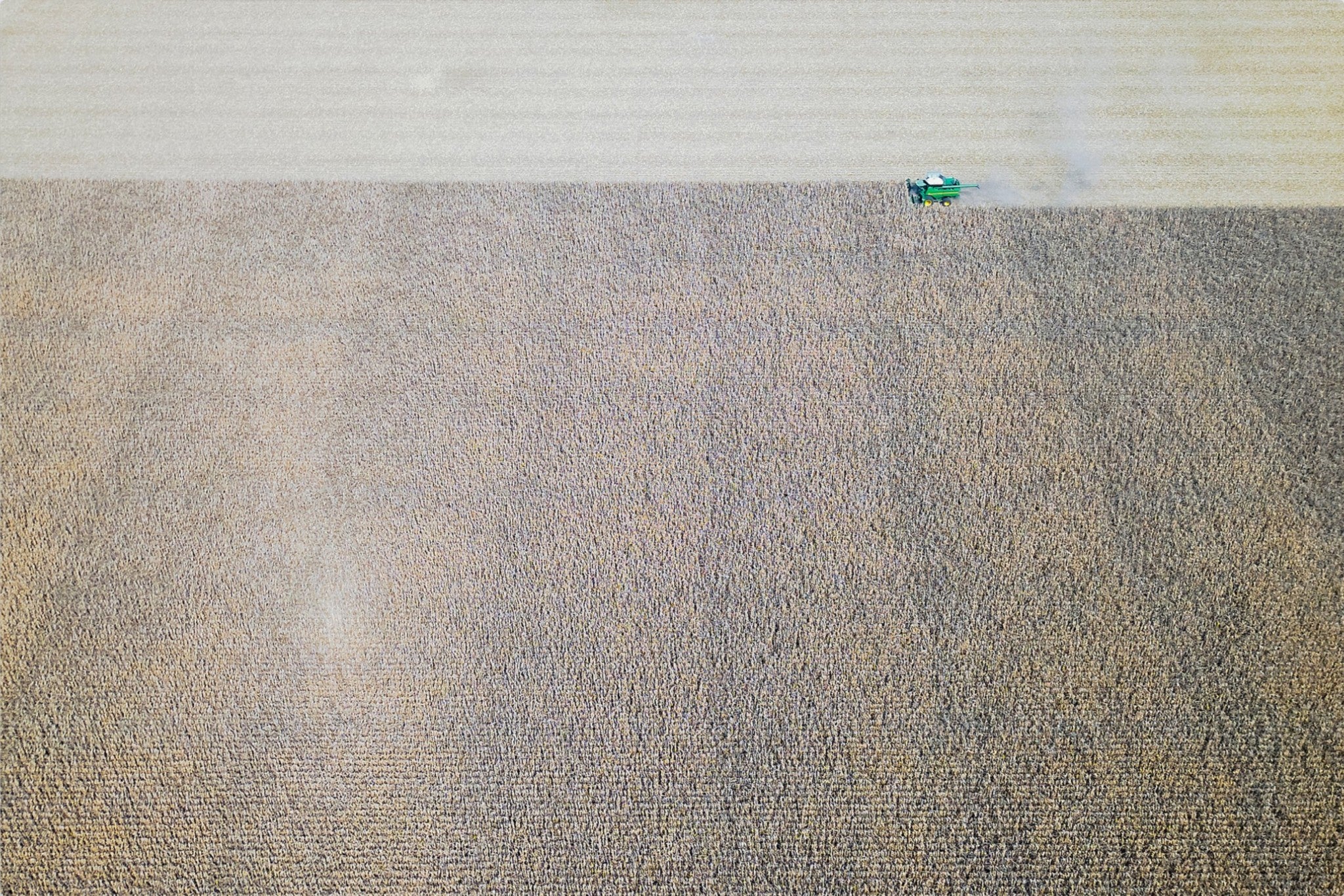Corn Harvest: Geometric Patterns IV