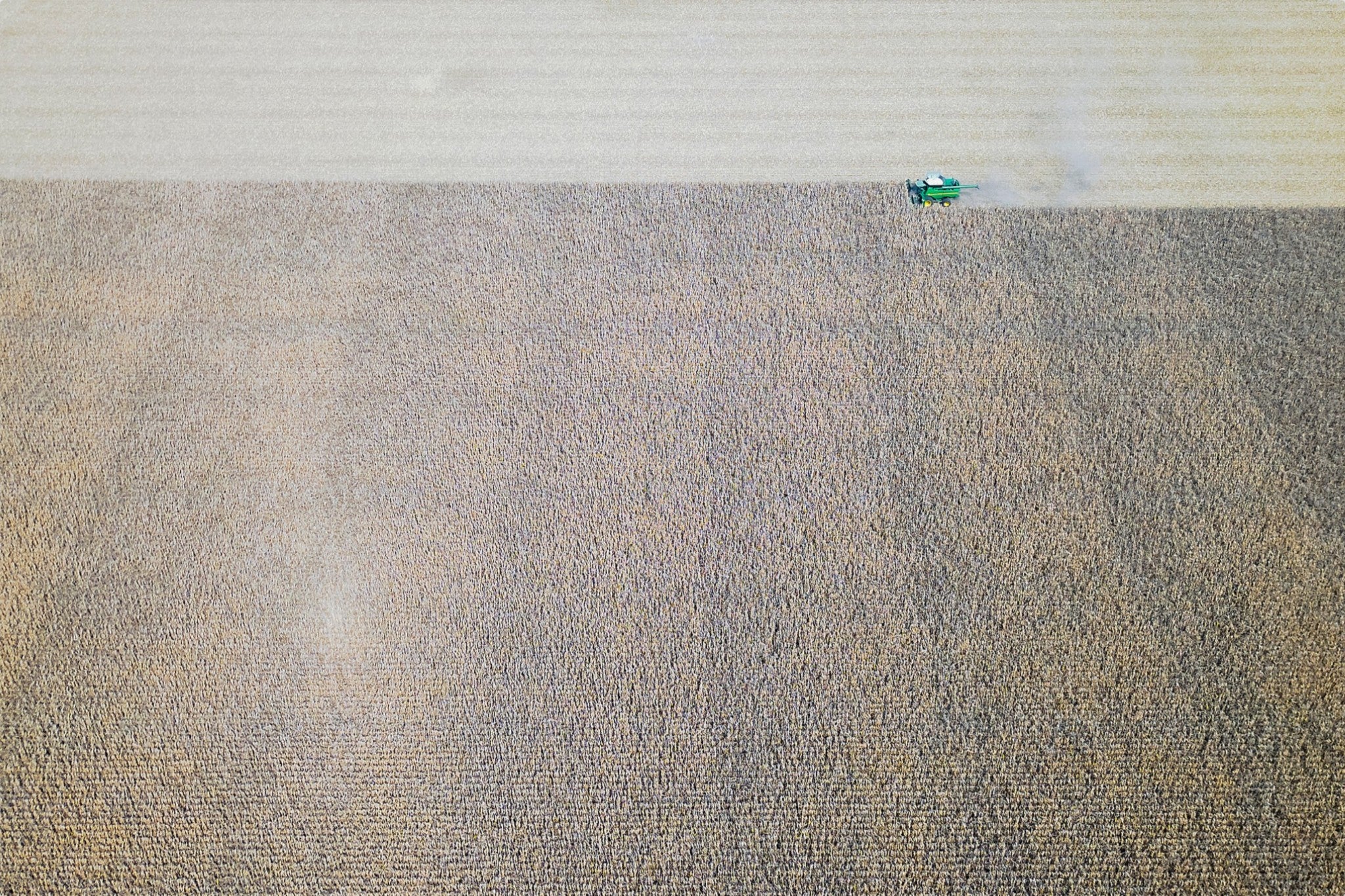 Corn Harvest: Geometric Patterns IV