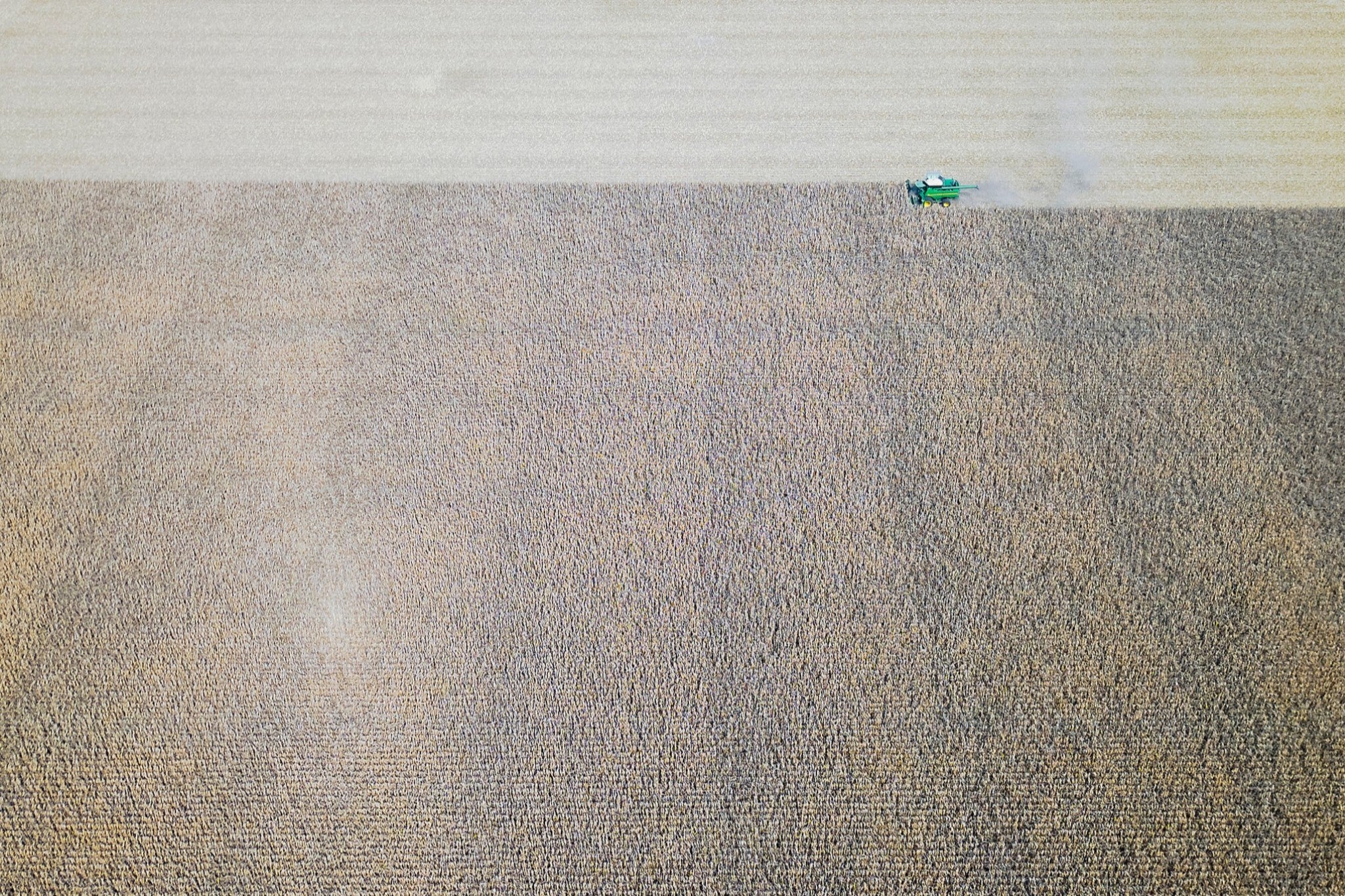 Corn Harvest: Geometric Patterns IV