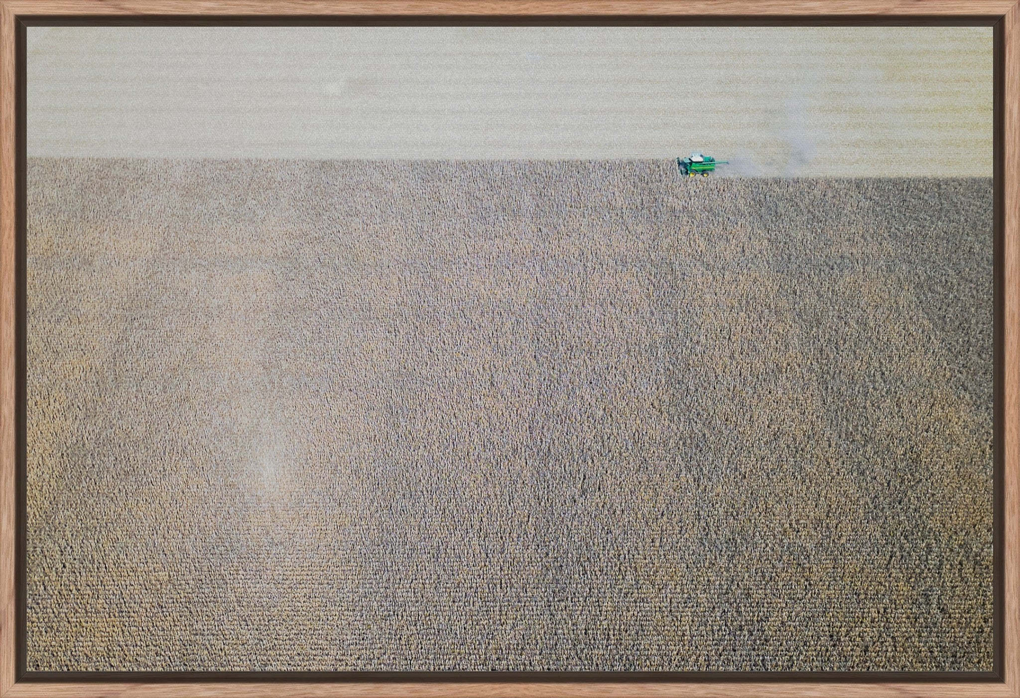 Corn Harvest: Geometric Patterns IV