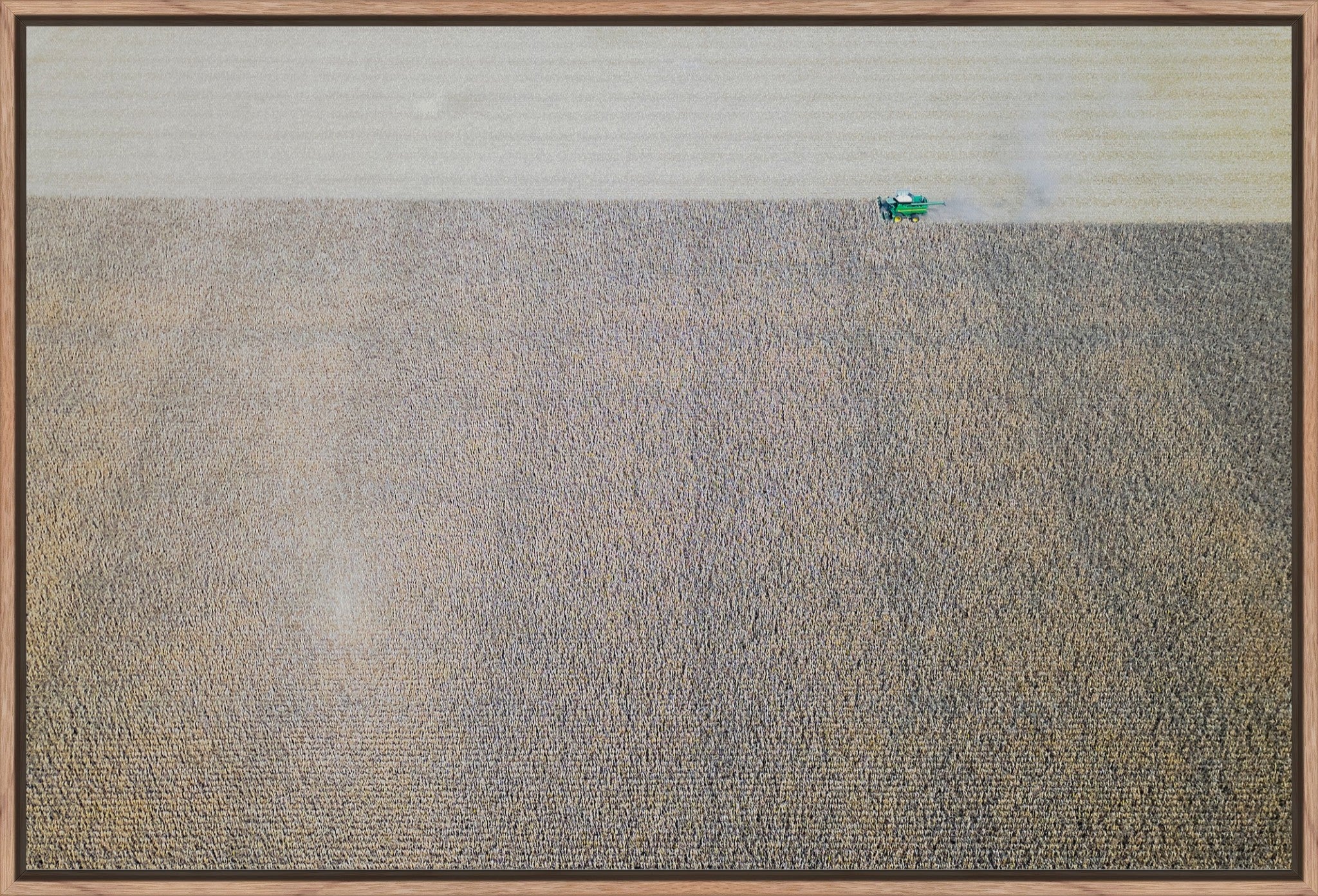 Corn Harvest: Geometric Patterns IV