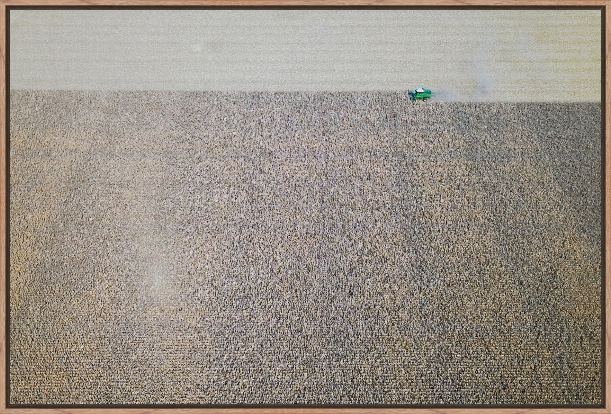 Corn Harvest: Geometric Patterns IV