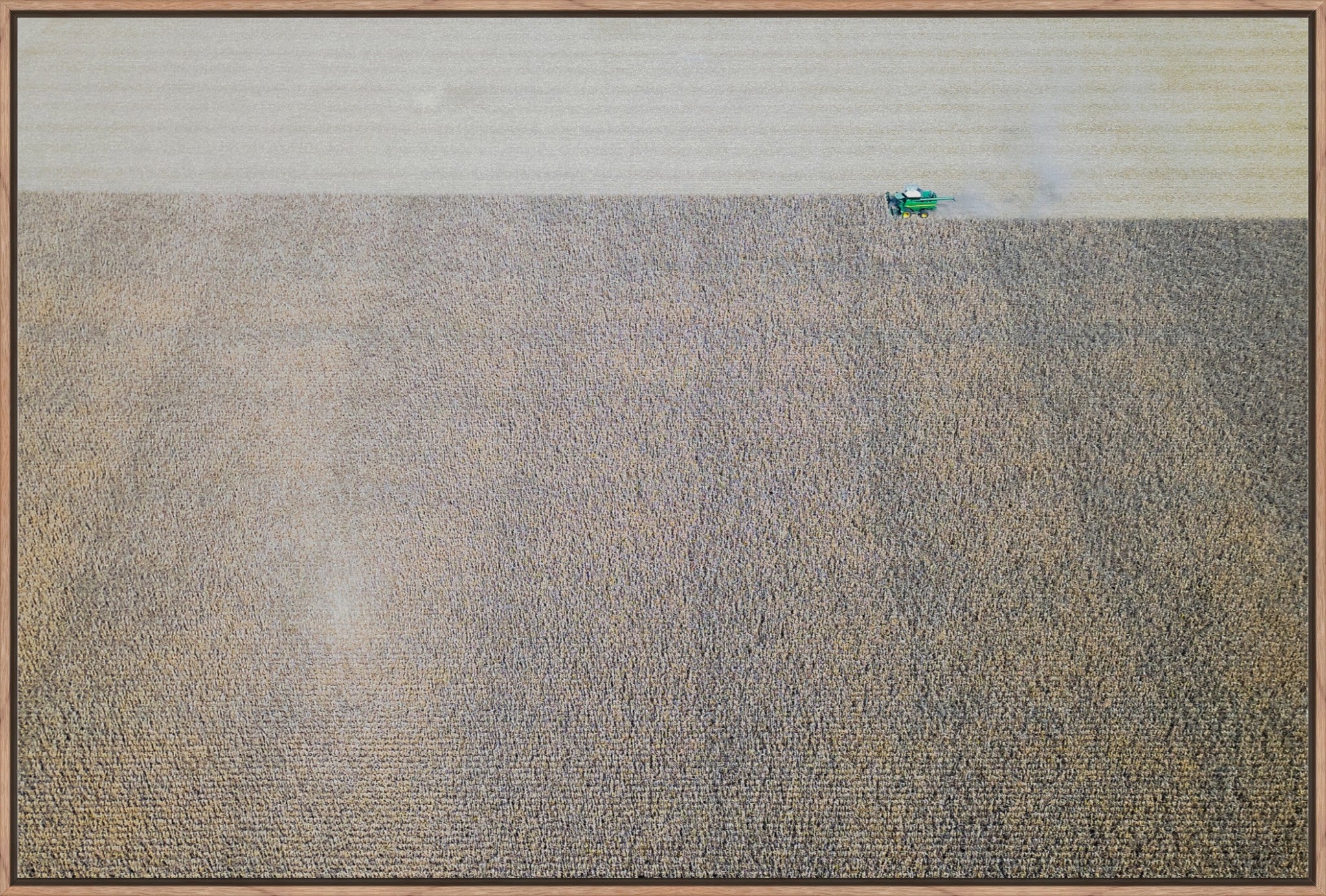 Corn Harvest: Geometric Patterns IV