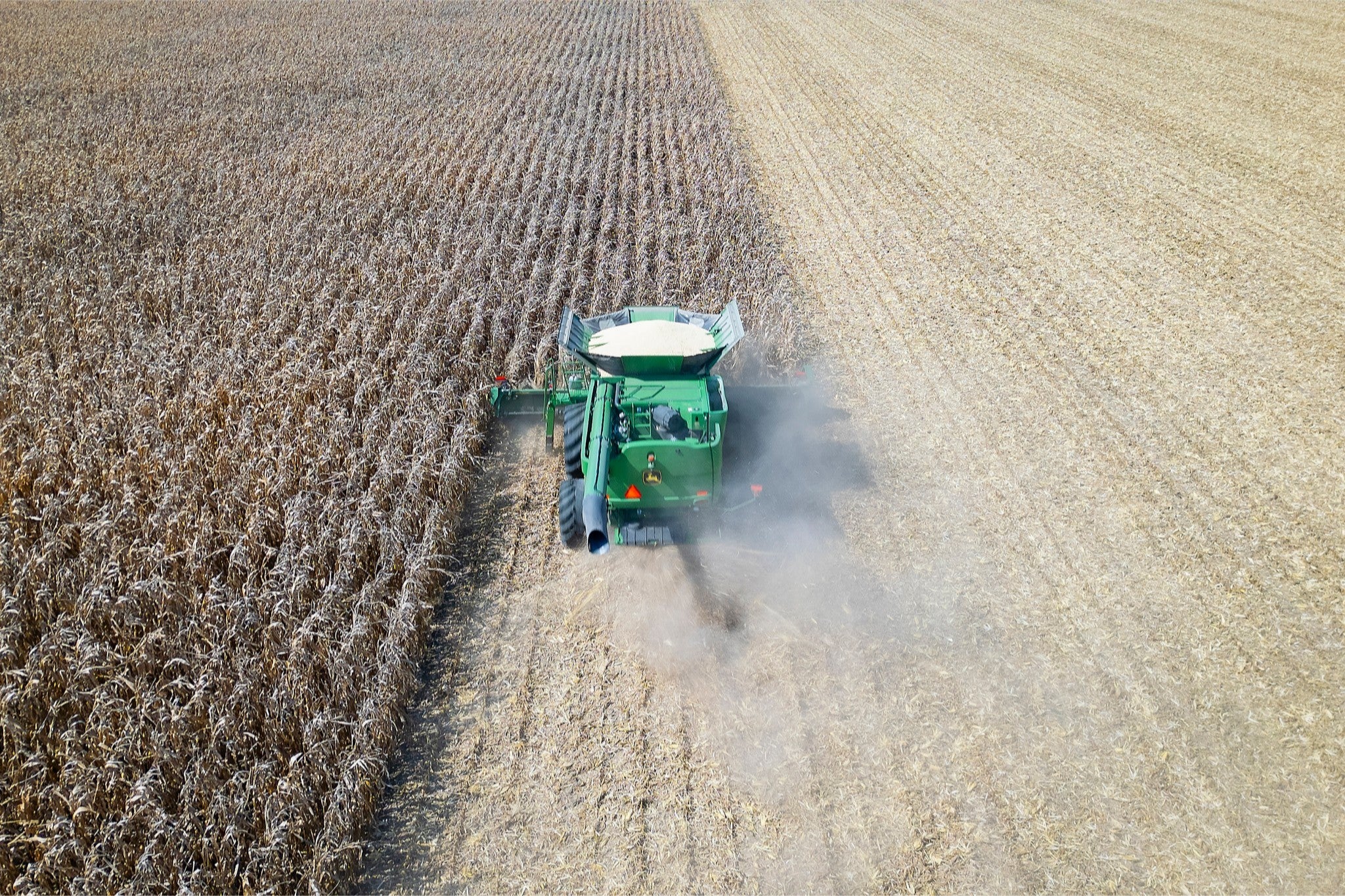 Corn Harvest: Geometric Patterns V