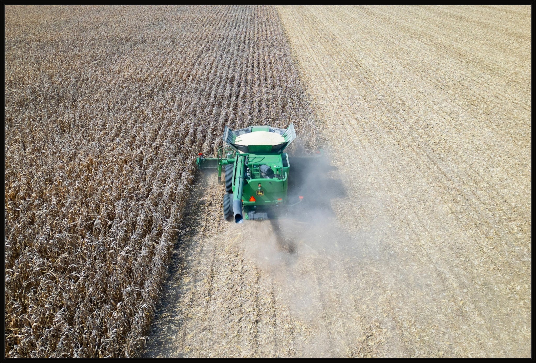 Corn Harvest: Geometric Patterns V