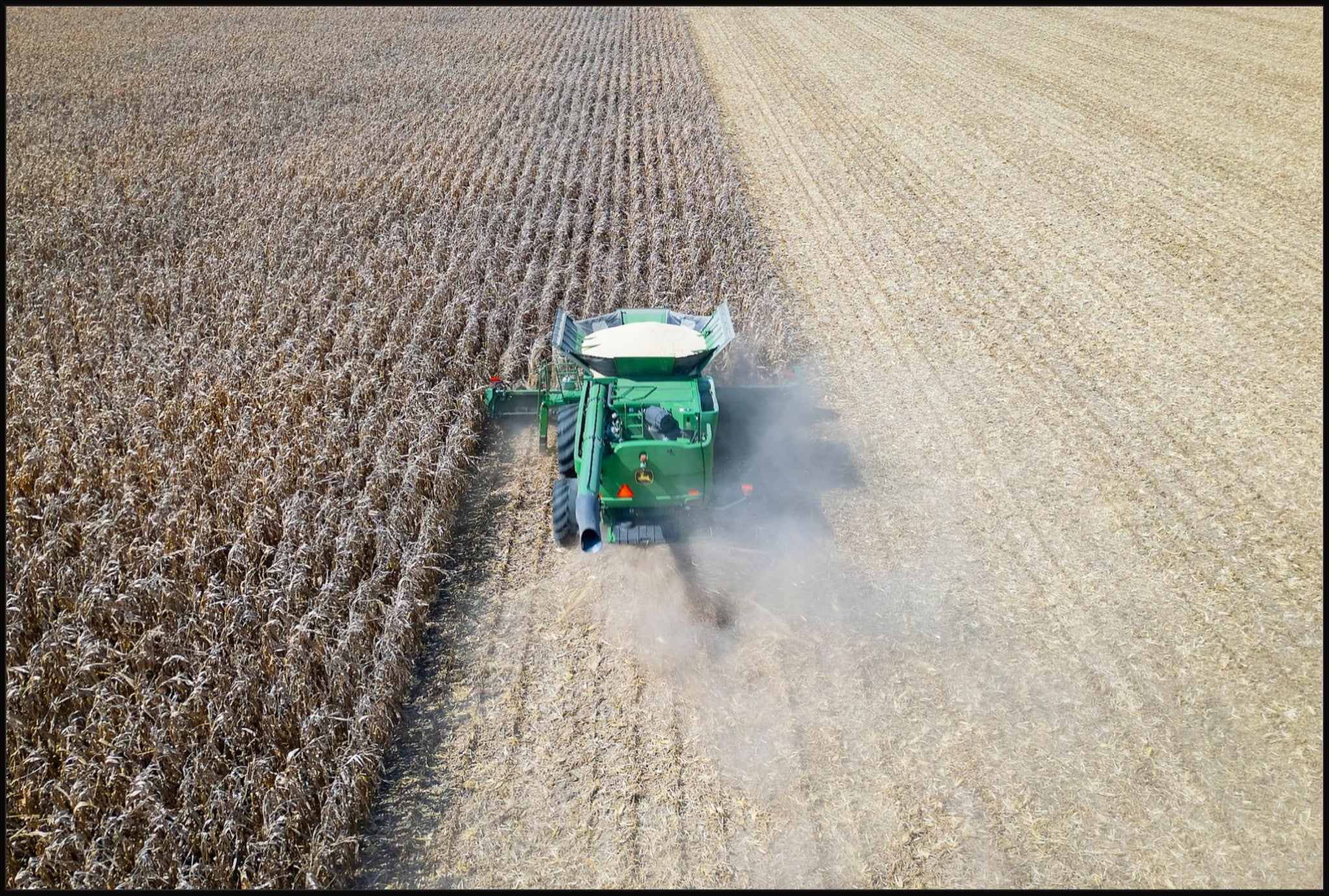 Corn Harvest: Geometric Patterns V