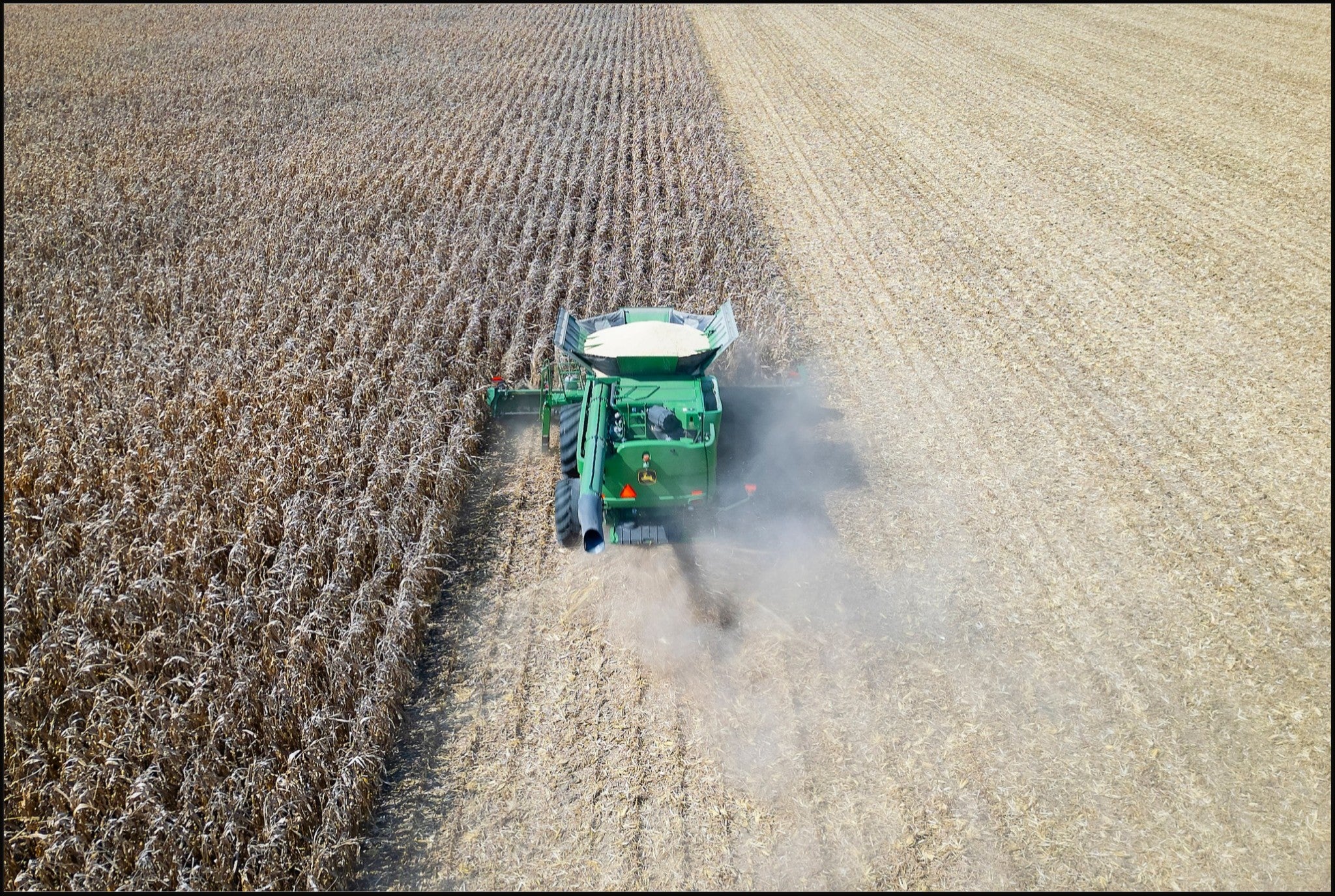 Corn Harvest: Geometric Patterns V