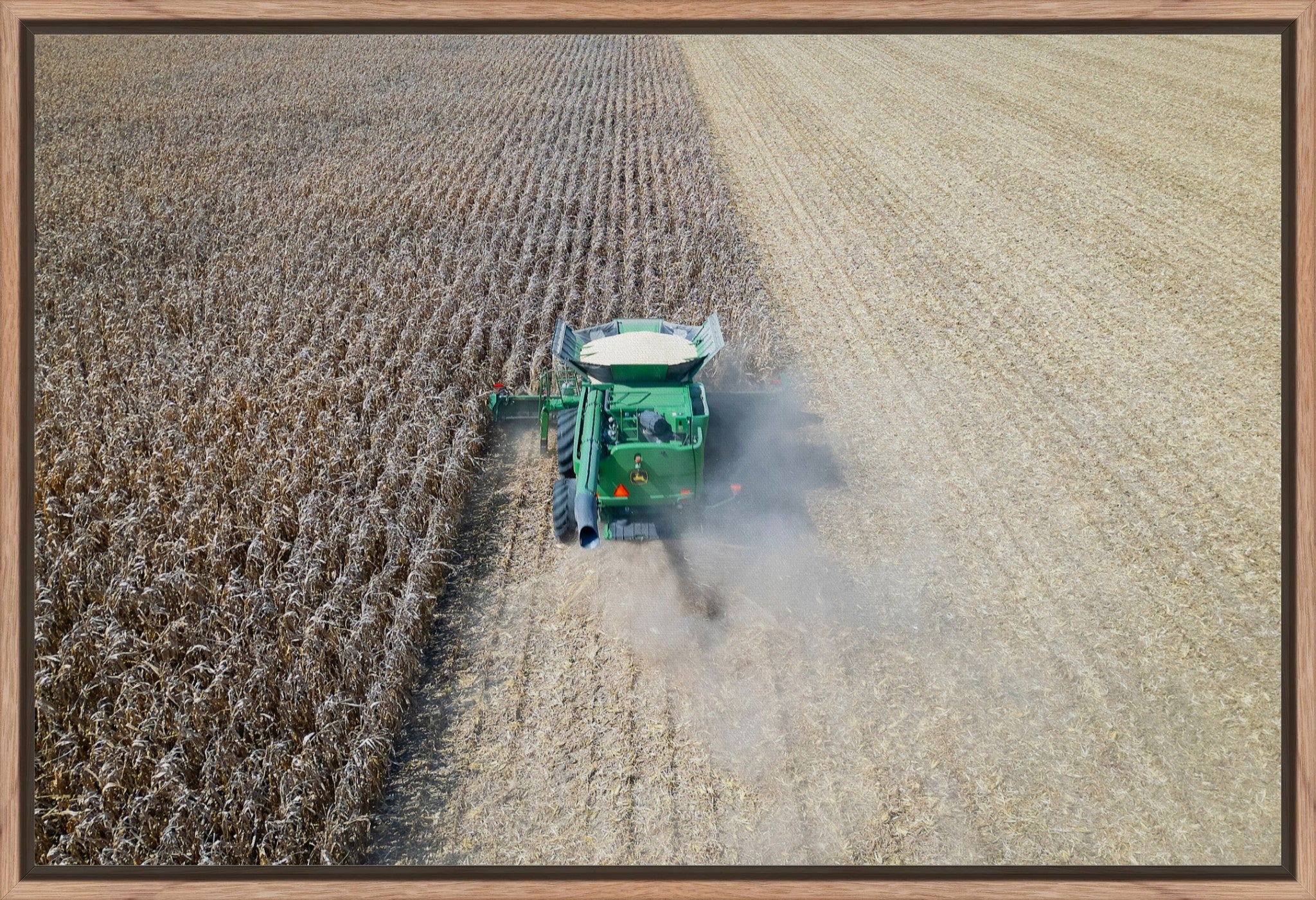 Corn Harvest: Geometric Patterns V
