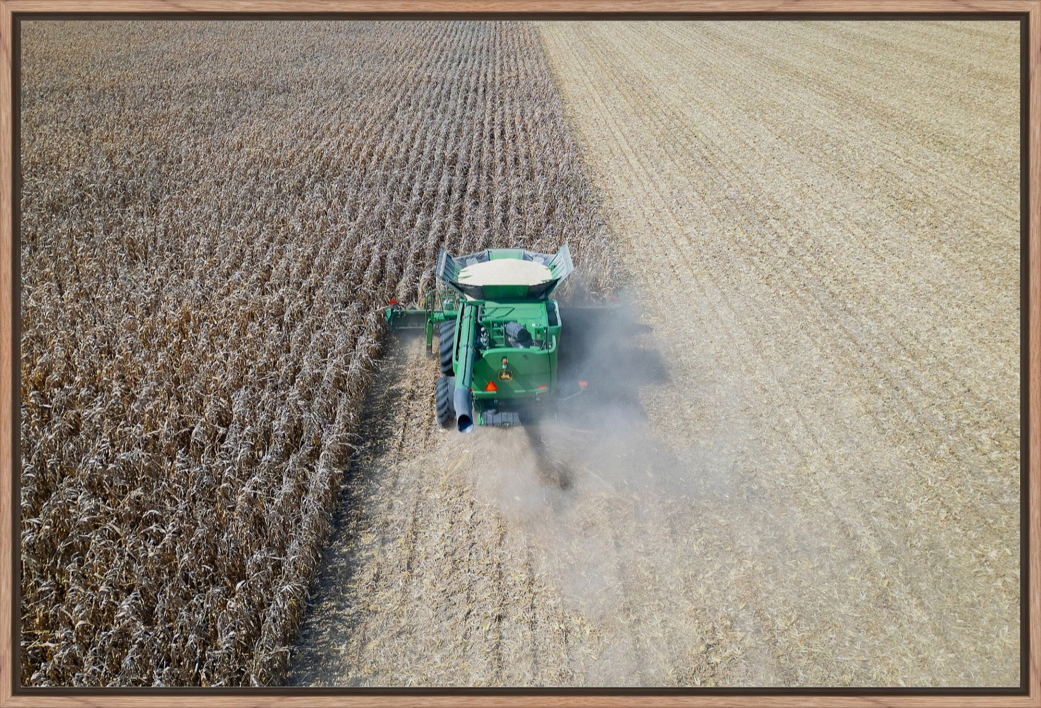 Corn Harvest: Geometric Patterns V