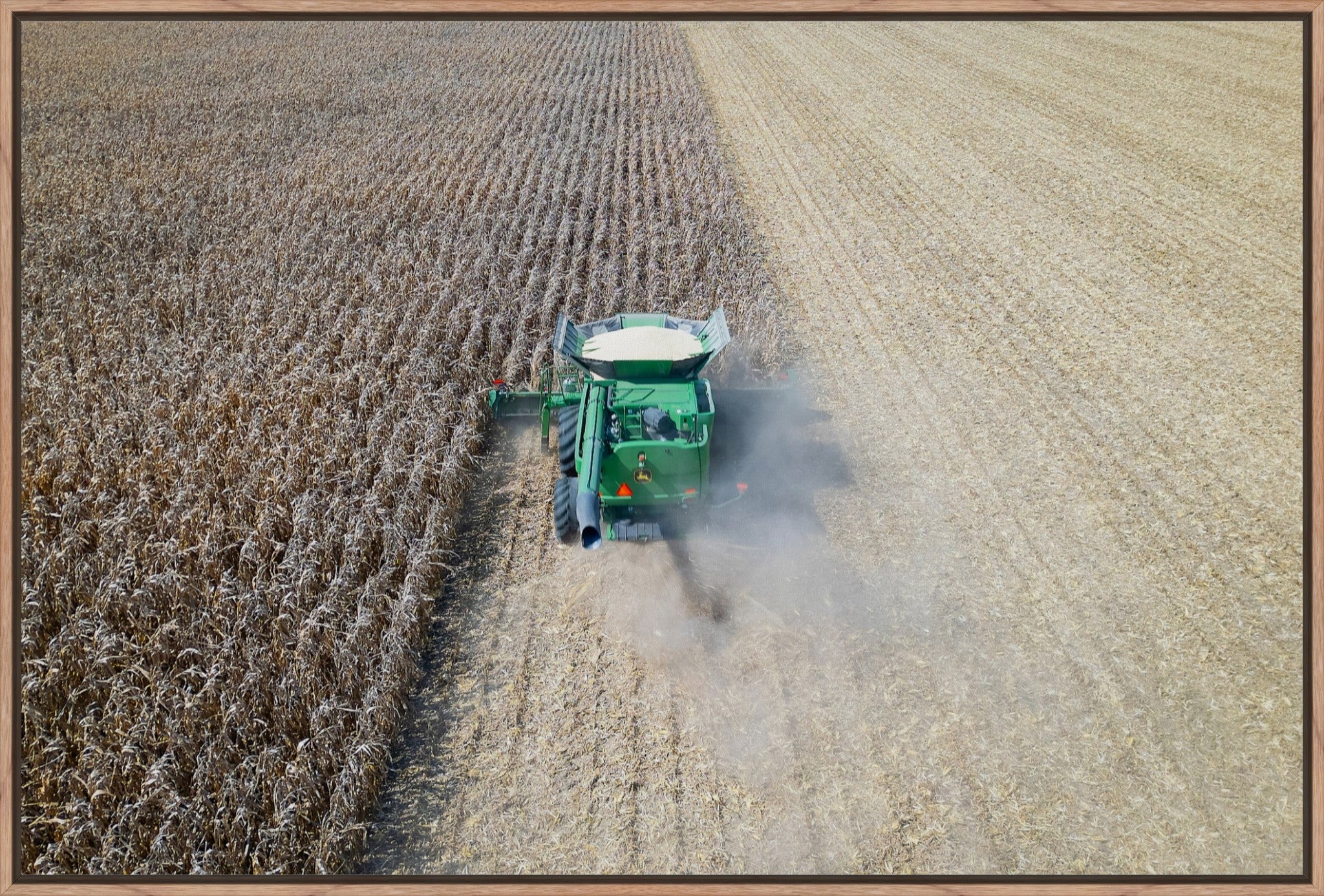 Corn Harvest: Geometric Patterns V
