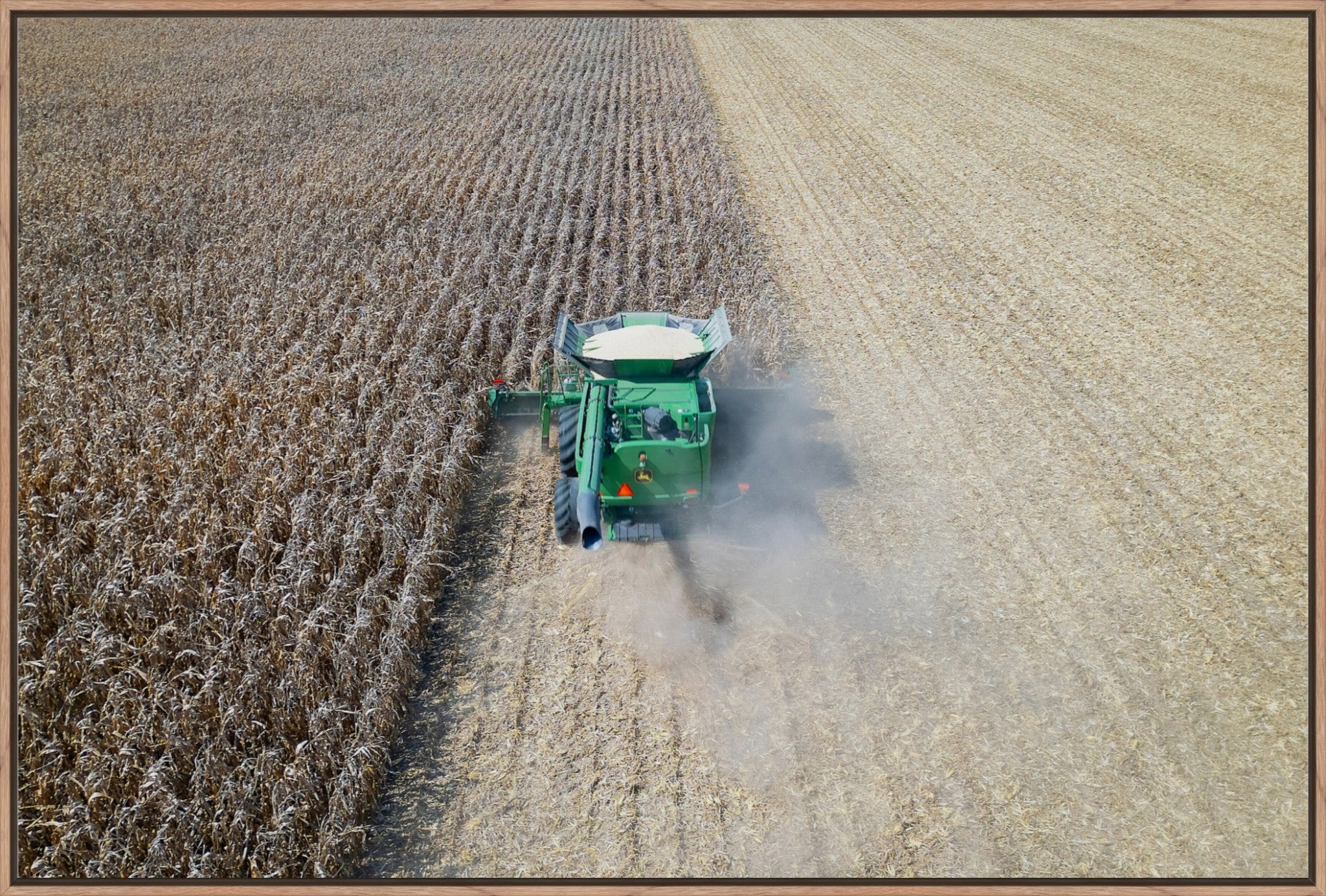 Corn Harvest: Geometric Patterns V