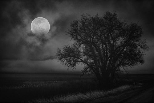 Big Moon Rising