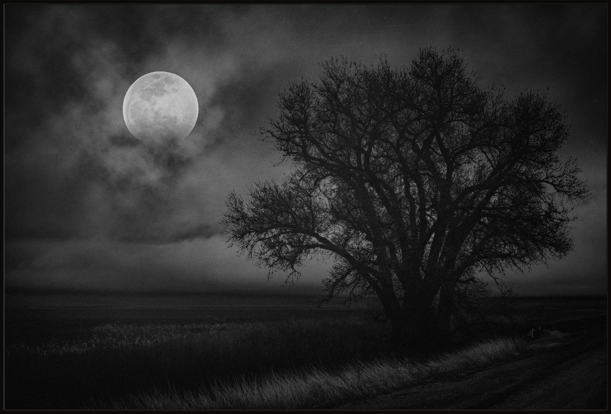 Big Moon Rising – Tif Holmes