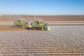 Aerial Cotton Harvest I