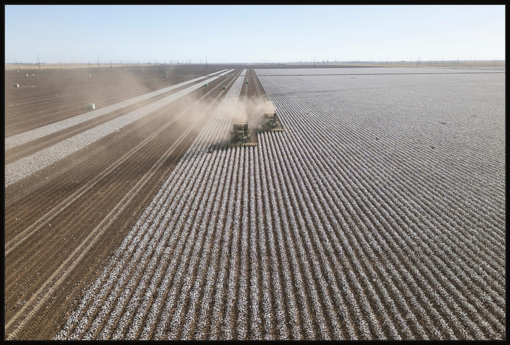 Aerial Cotton Harvest II