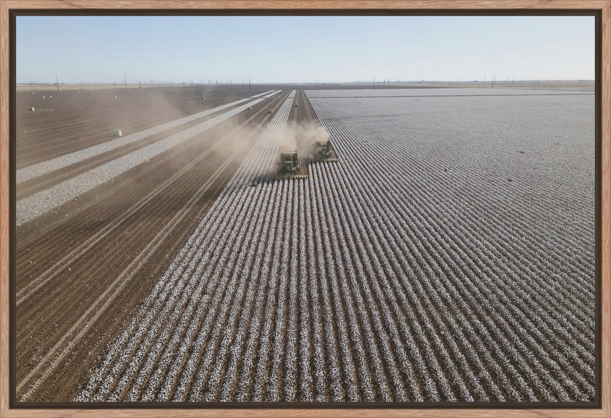 Aerial Cotton Harvest II