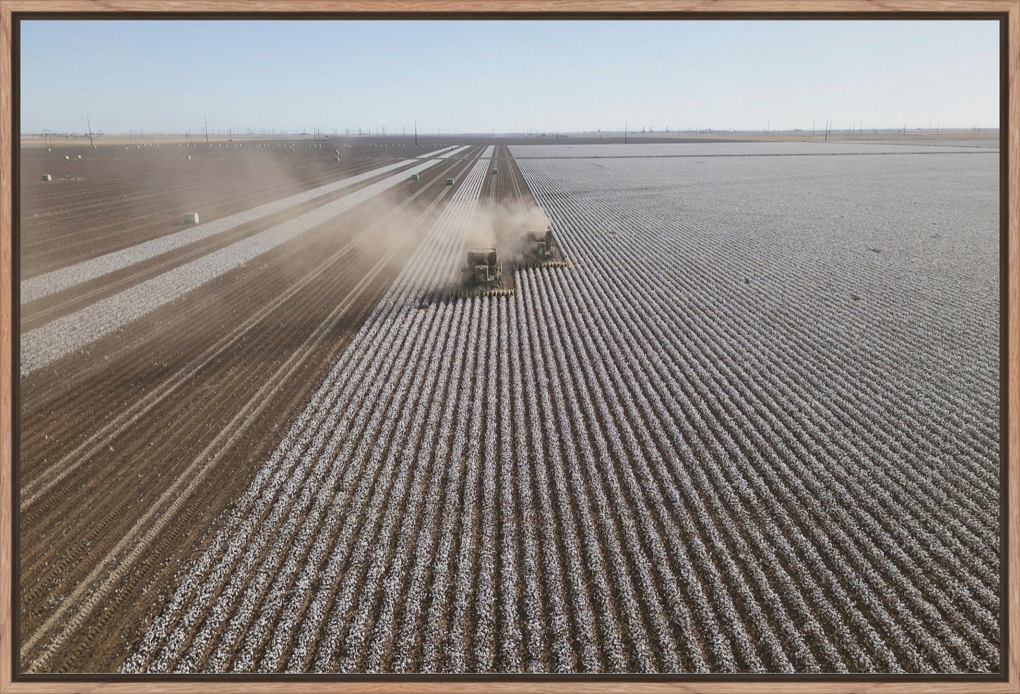 Aerial Cotton Harvest II