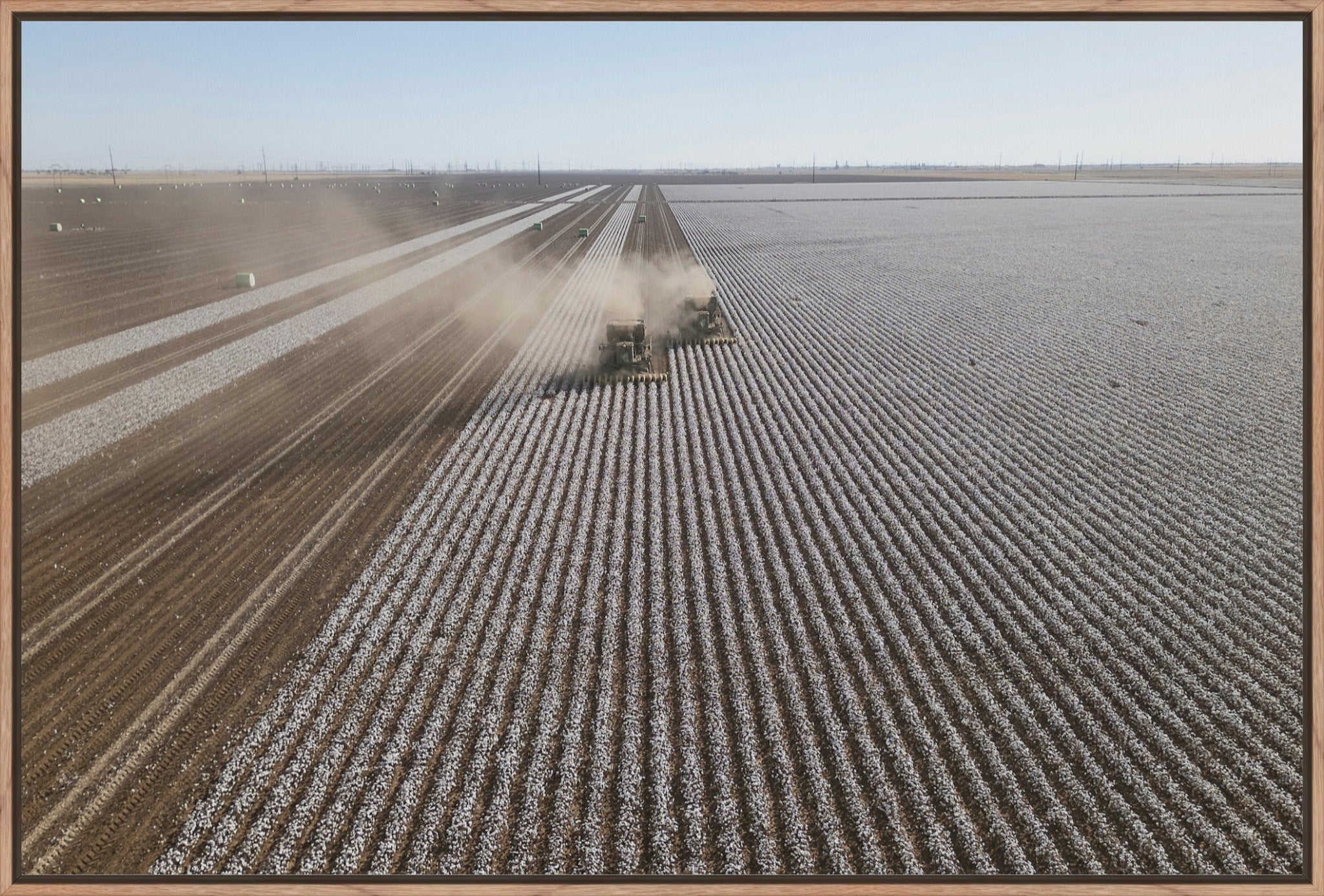 Aerial Cotton Harvest II
