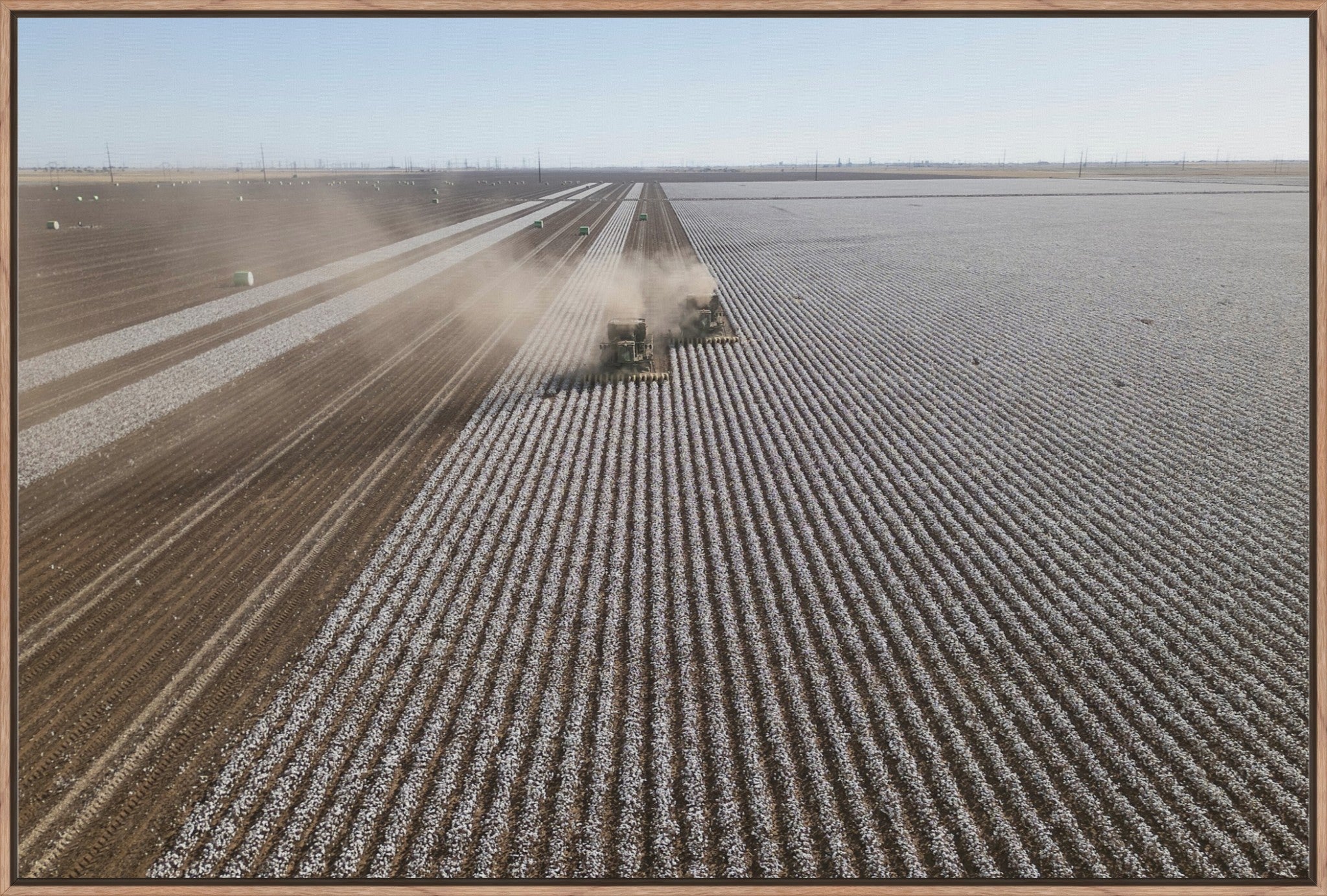Aerial Cotton Harvest II