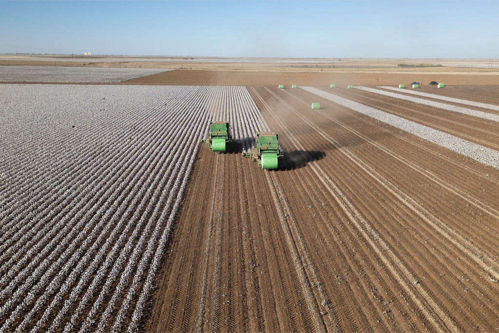 Aerial Cotton Harvest IV