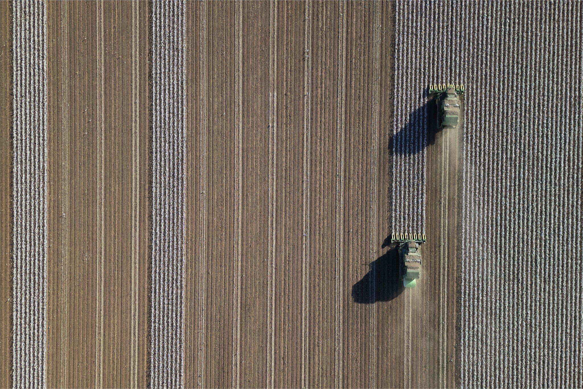 Aerial Cotton Harvest V