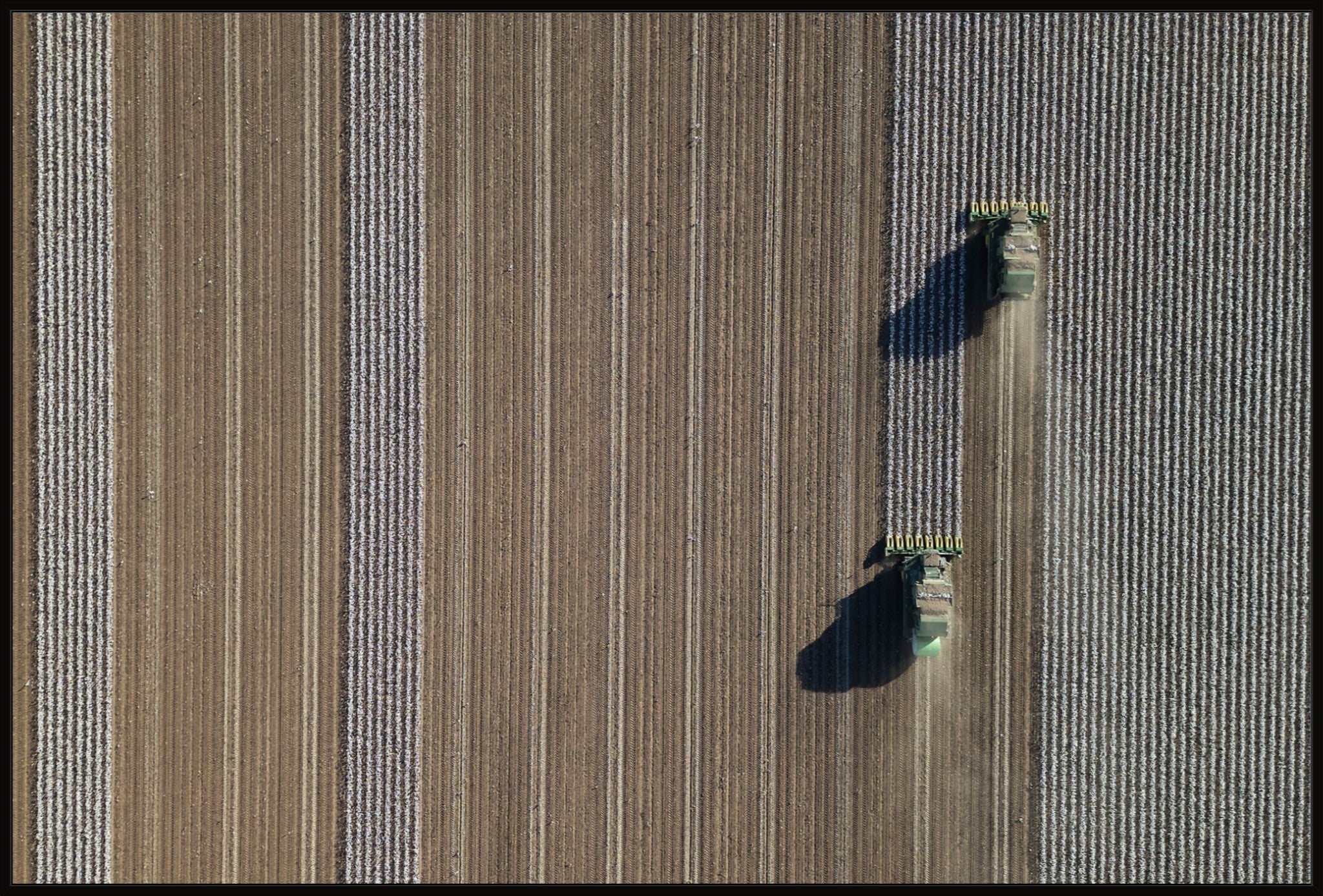 Aerial Cotton Harvest V