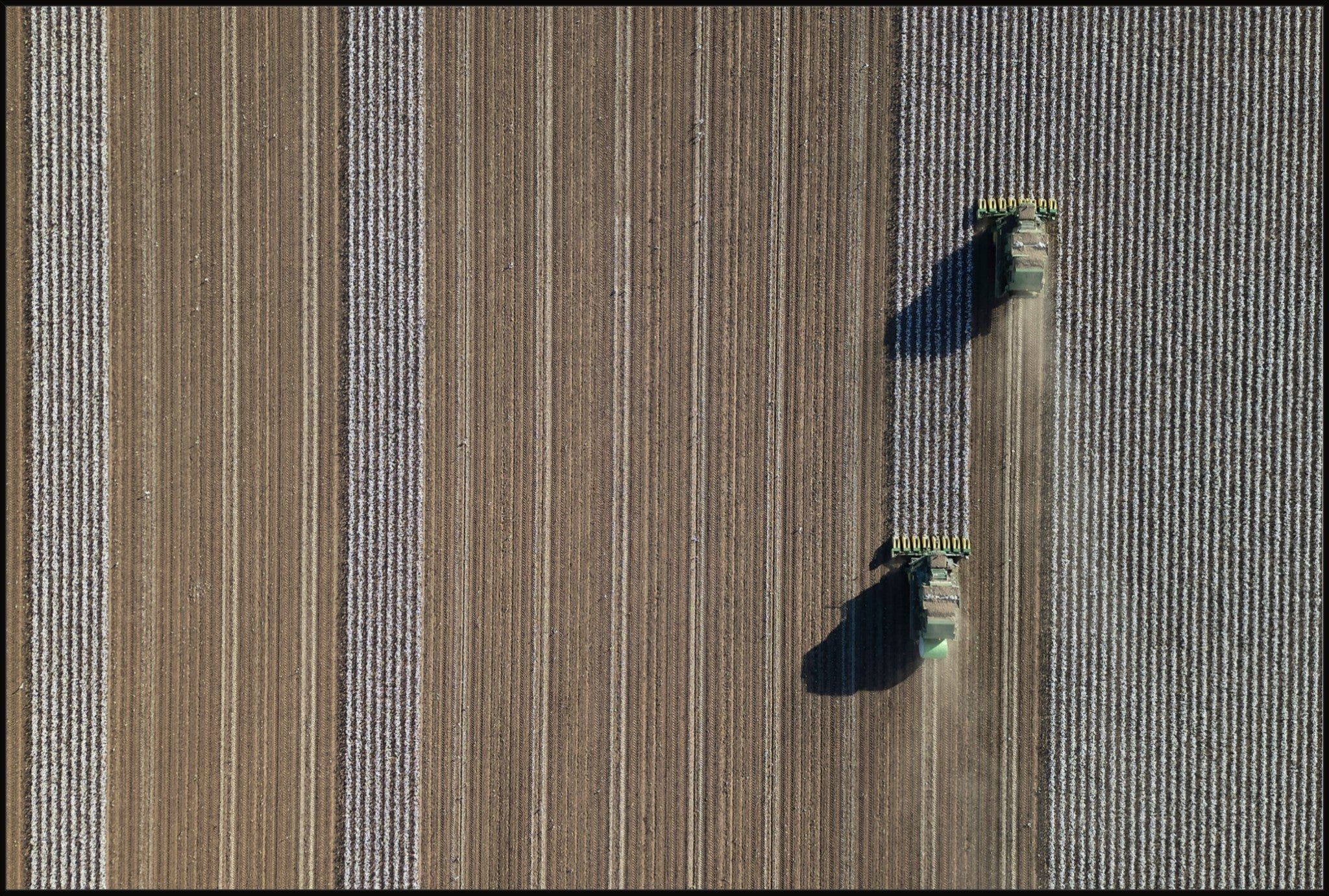 Aerial Cotton Harvest V