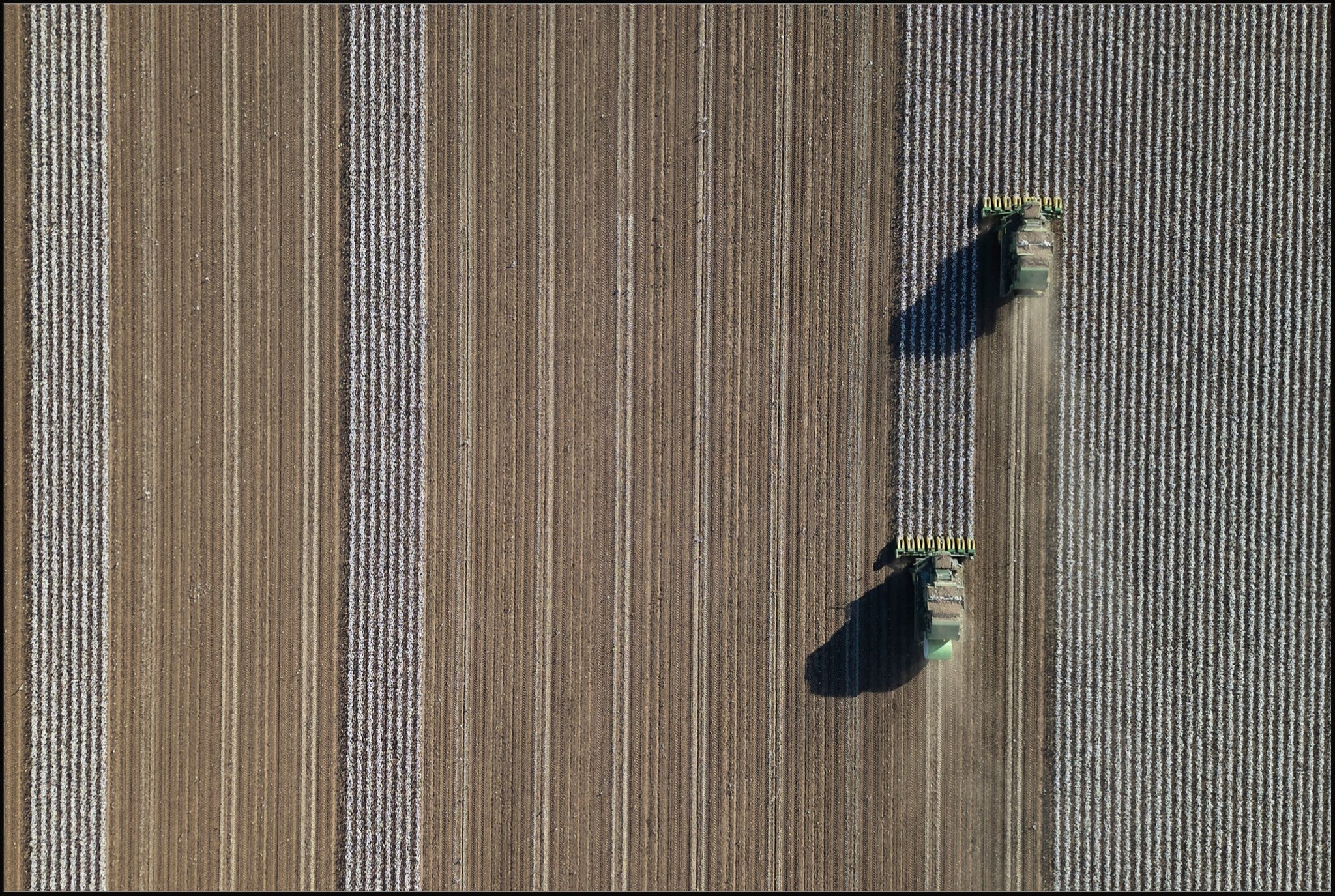 Aerial Cotton Harvest V