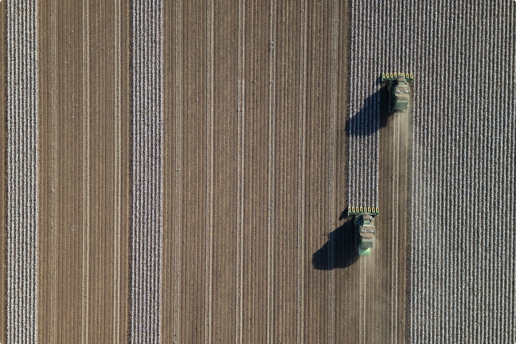 Aerial Cotton Harvest V