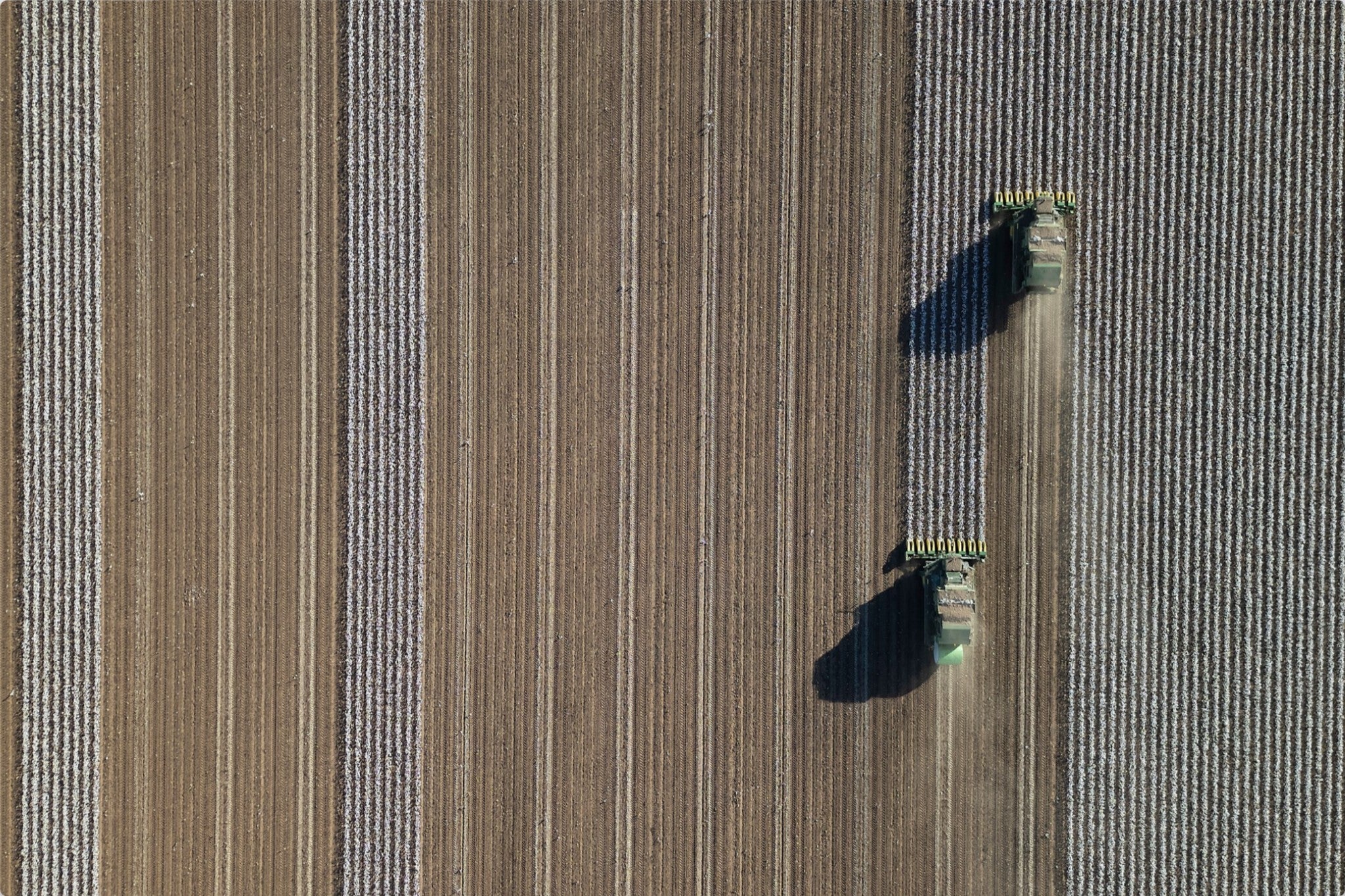 Aerial Cotton Harvest V