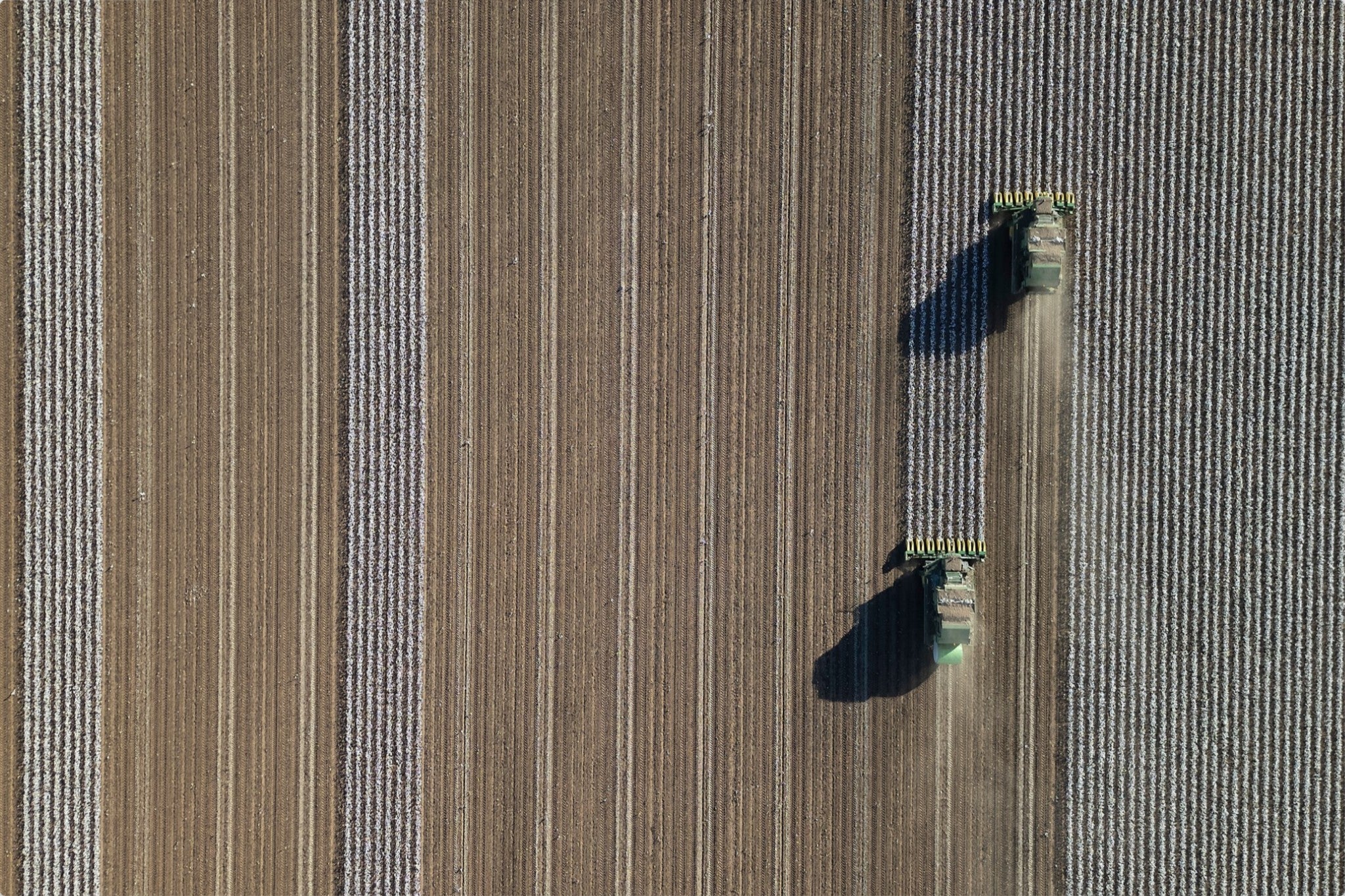 Aerial Cotton Harvest V