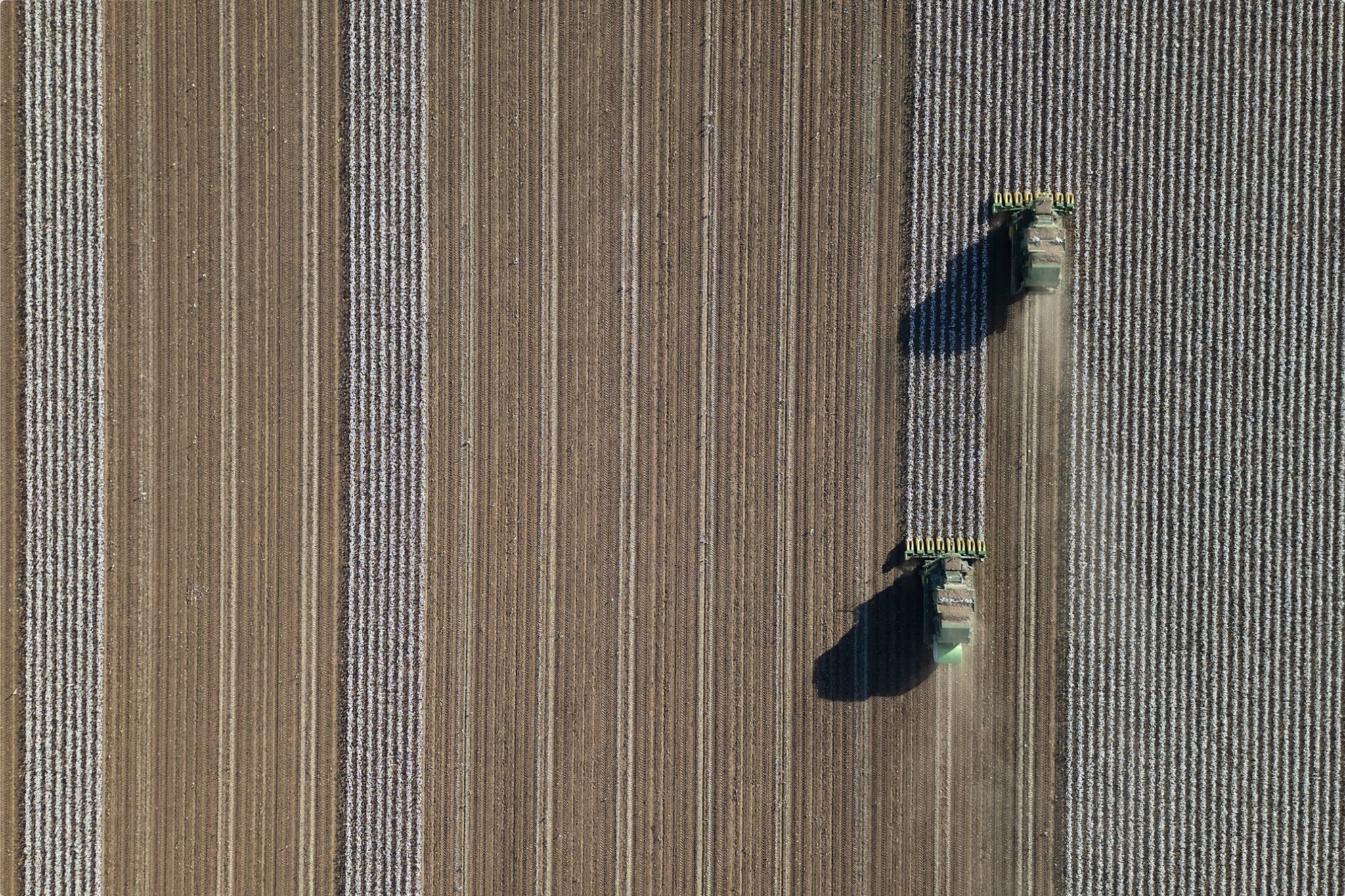 Aerial Cotton Harvest V
