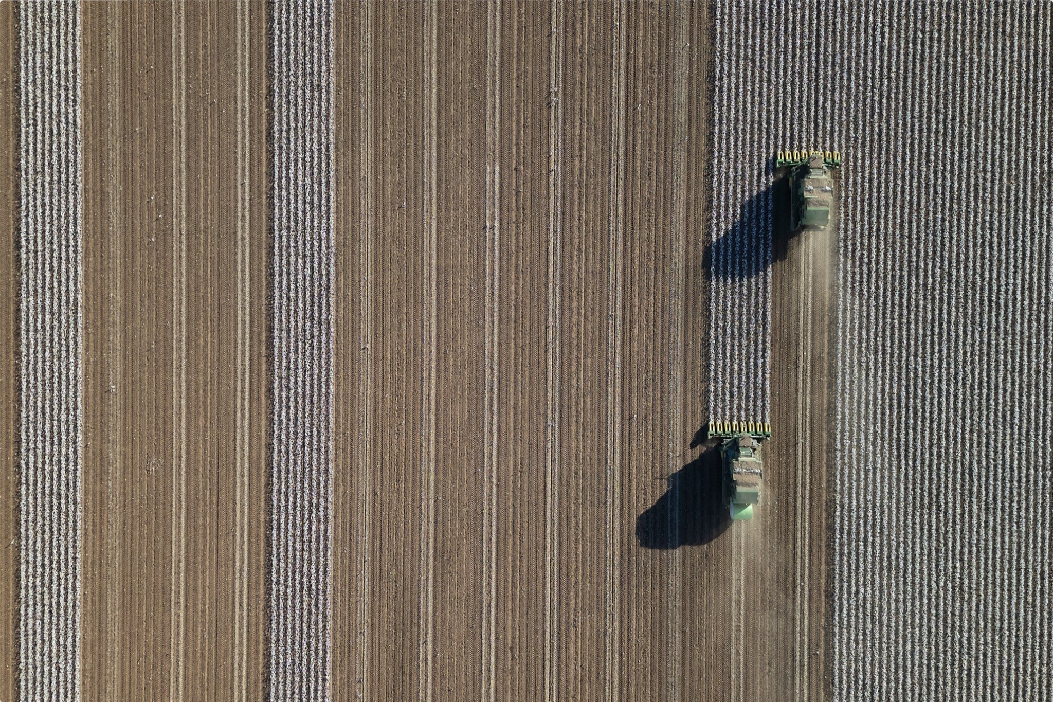 Aerial Cotton Harvest V