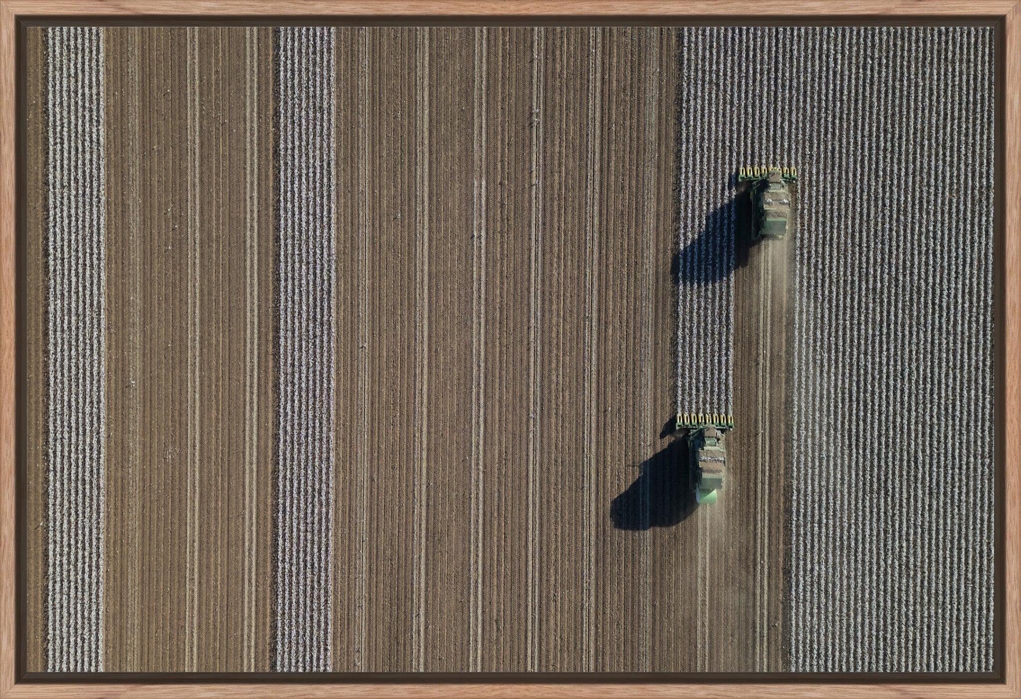 Aerial Cotton Harvest V