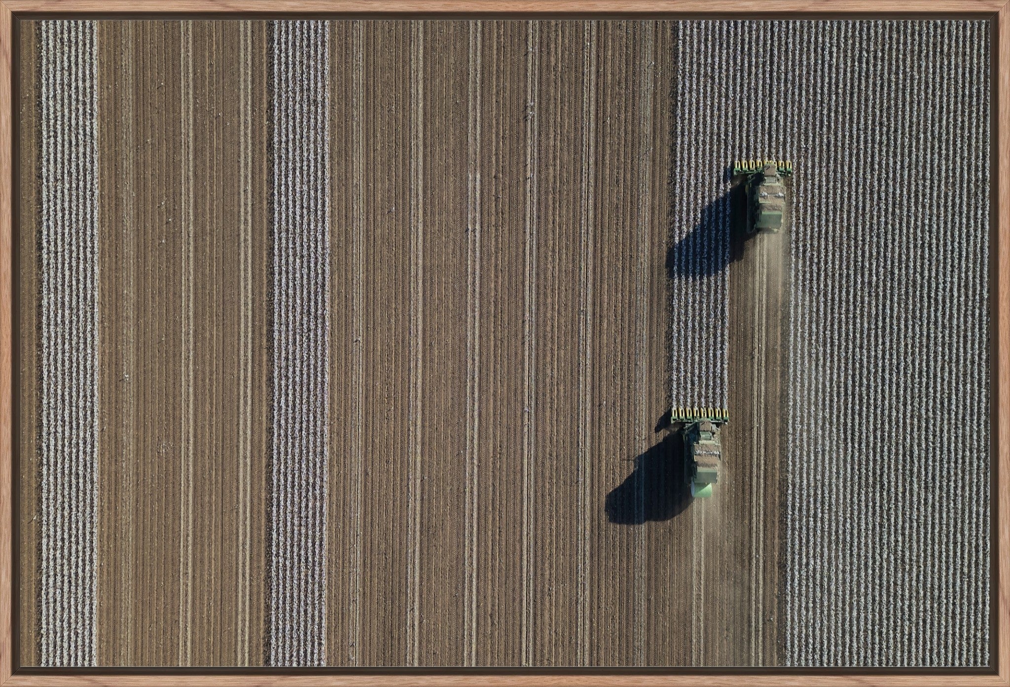 Aerial Cotton Harvest V