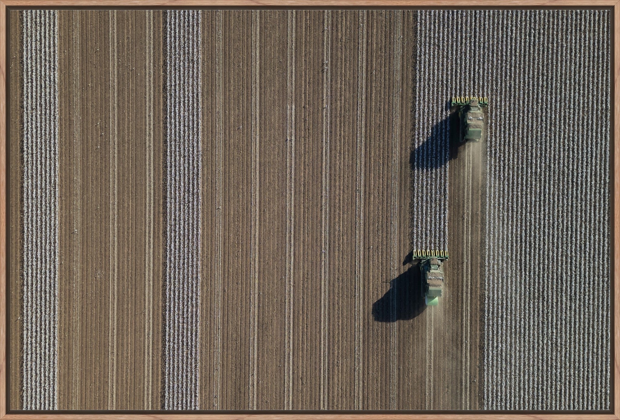 Aerial Cotton Harvest V